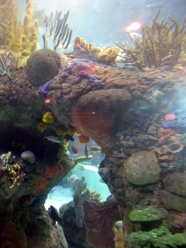 Pictures taken around opening