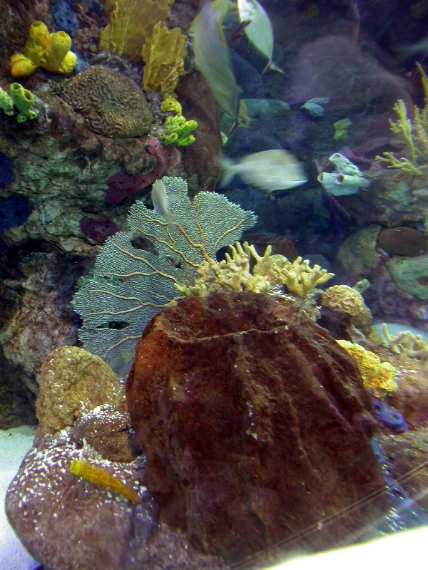 Pictures taken around opening