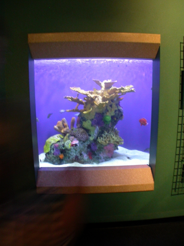 Pictures taken around opening