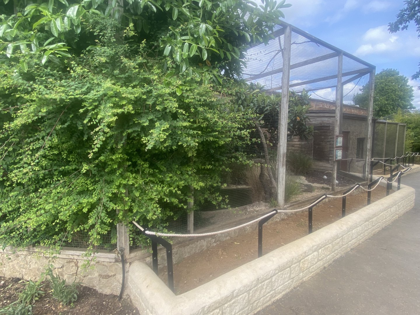 Pied avocet and Red-billed blue magpie aviary 310525