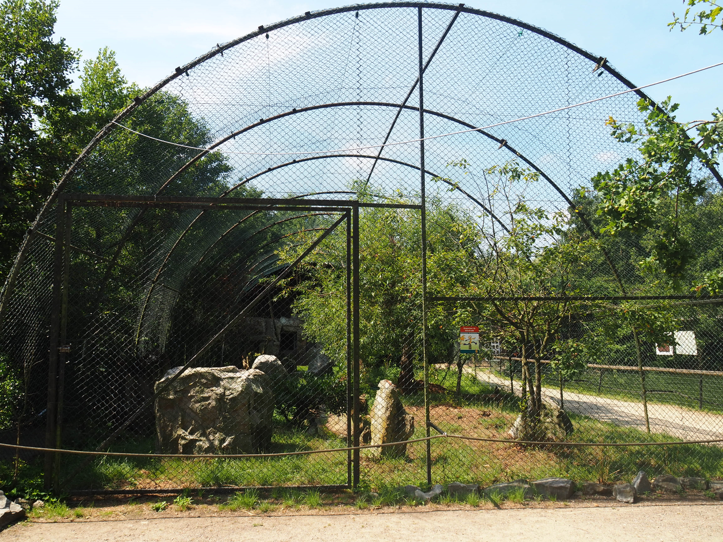Pied crown and Southern ground hornbill aviary, 2019-08-04