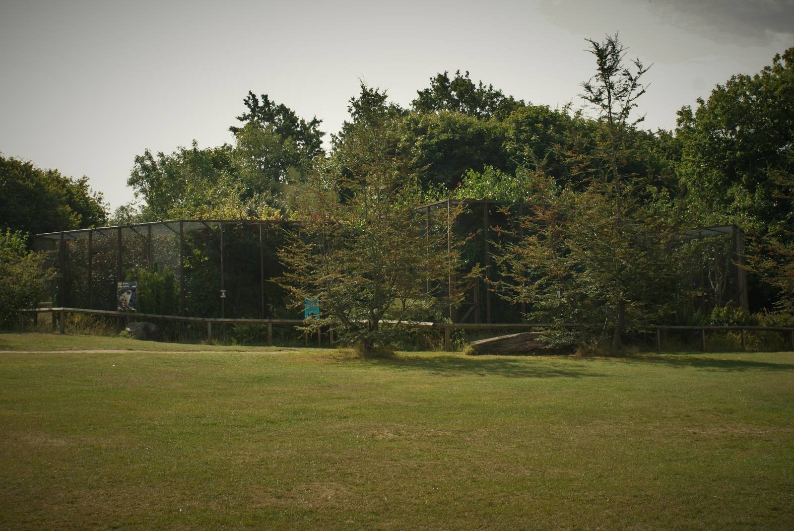 Pied tamarin breeding complex