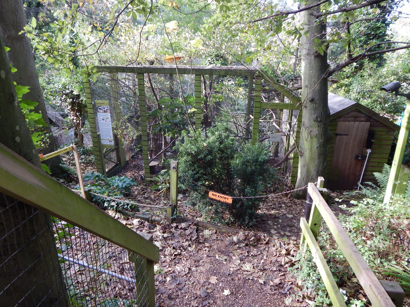 Pied tamarin enclosure 021120