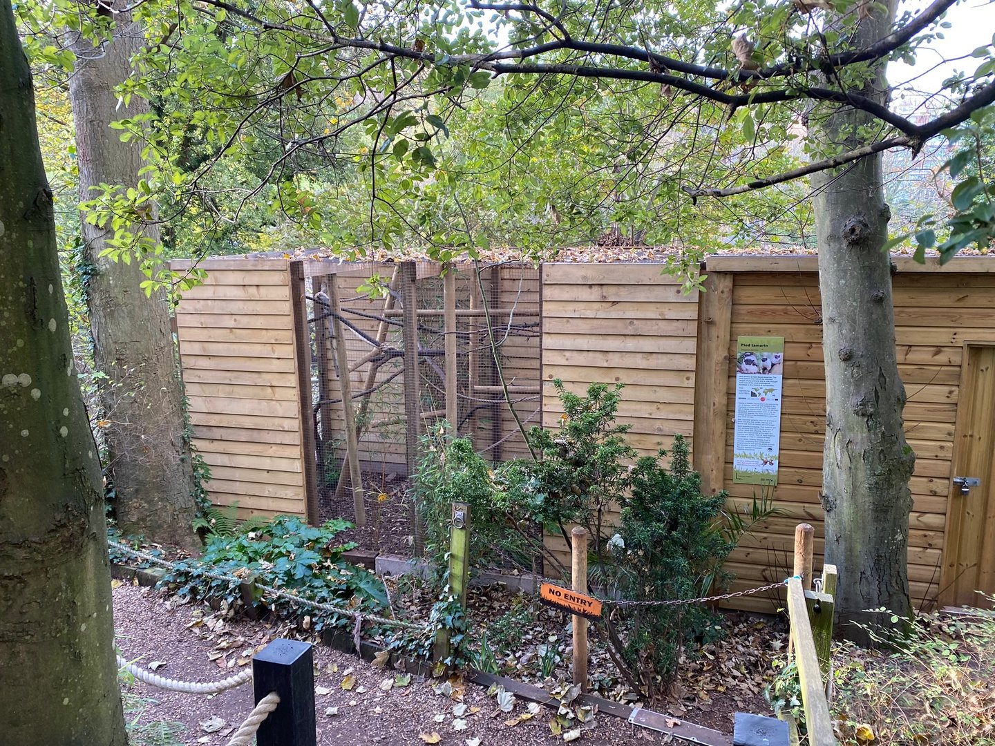 Pied tamarin enclosure 111222