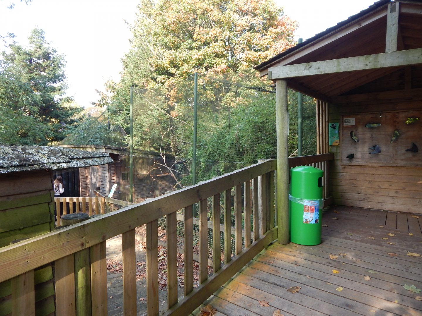 Pied tamarin enclosure 181020