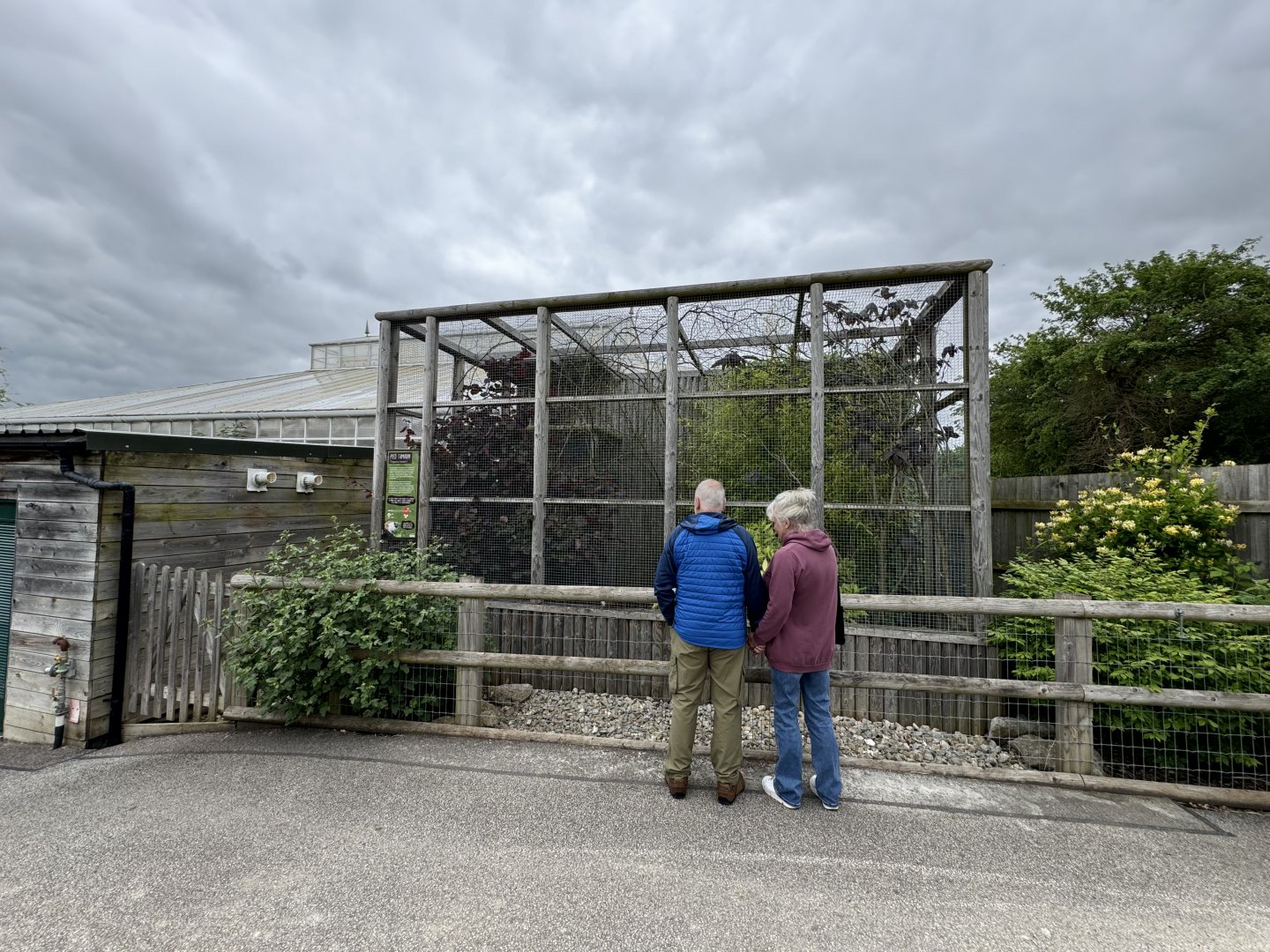 Pied Tamarin Enclosure at Woodside Wildlife Park (May 2024)