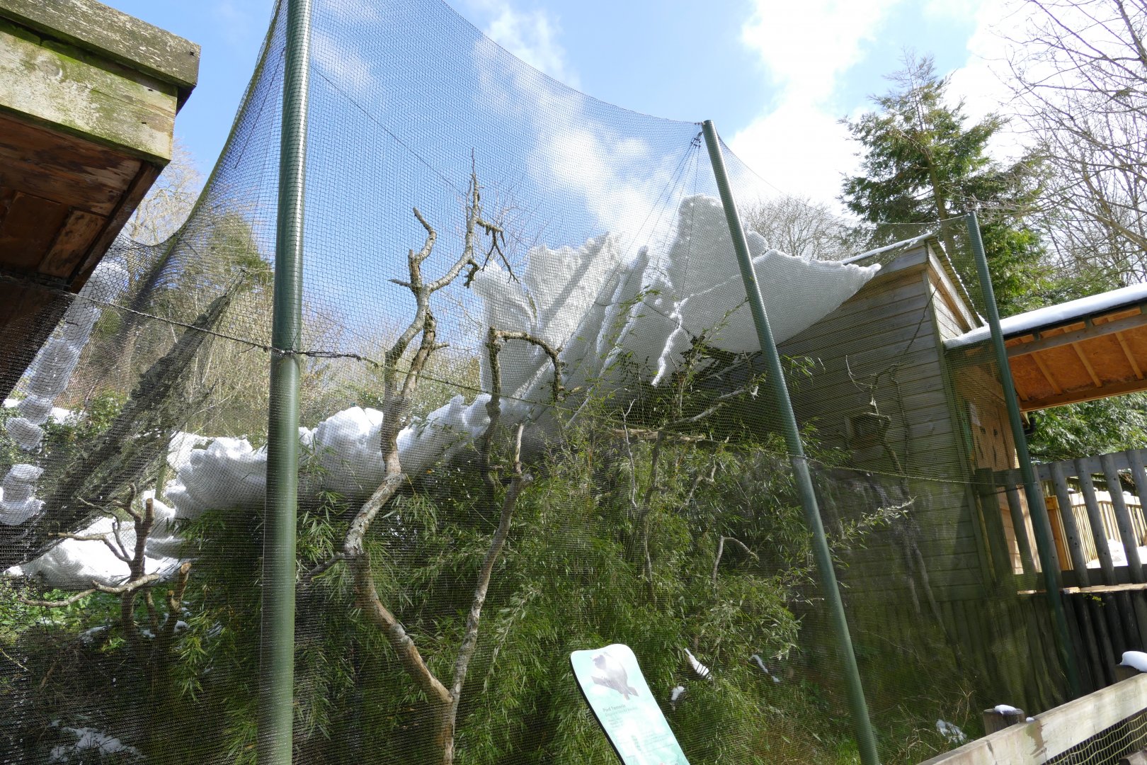 Pied Tamarin enclosure, March 2018