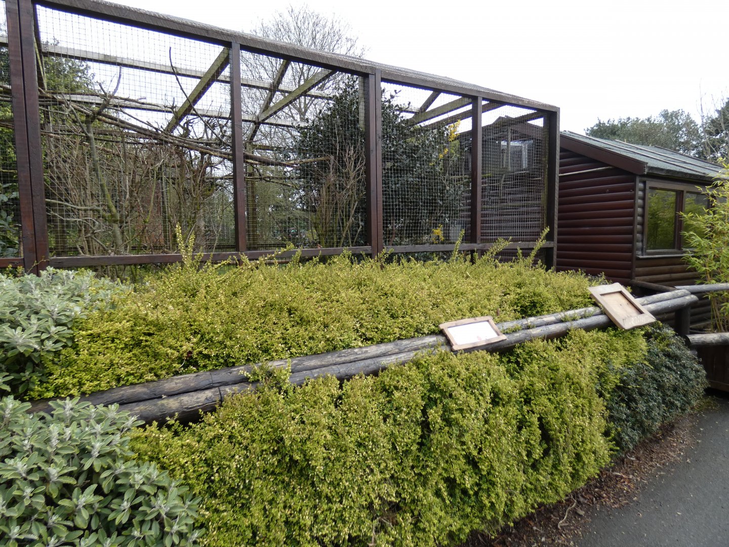 Pied Tamarin Enclosure