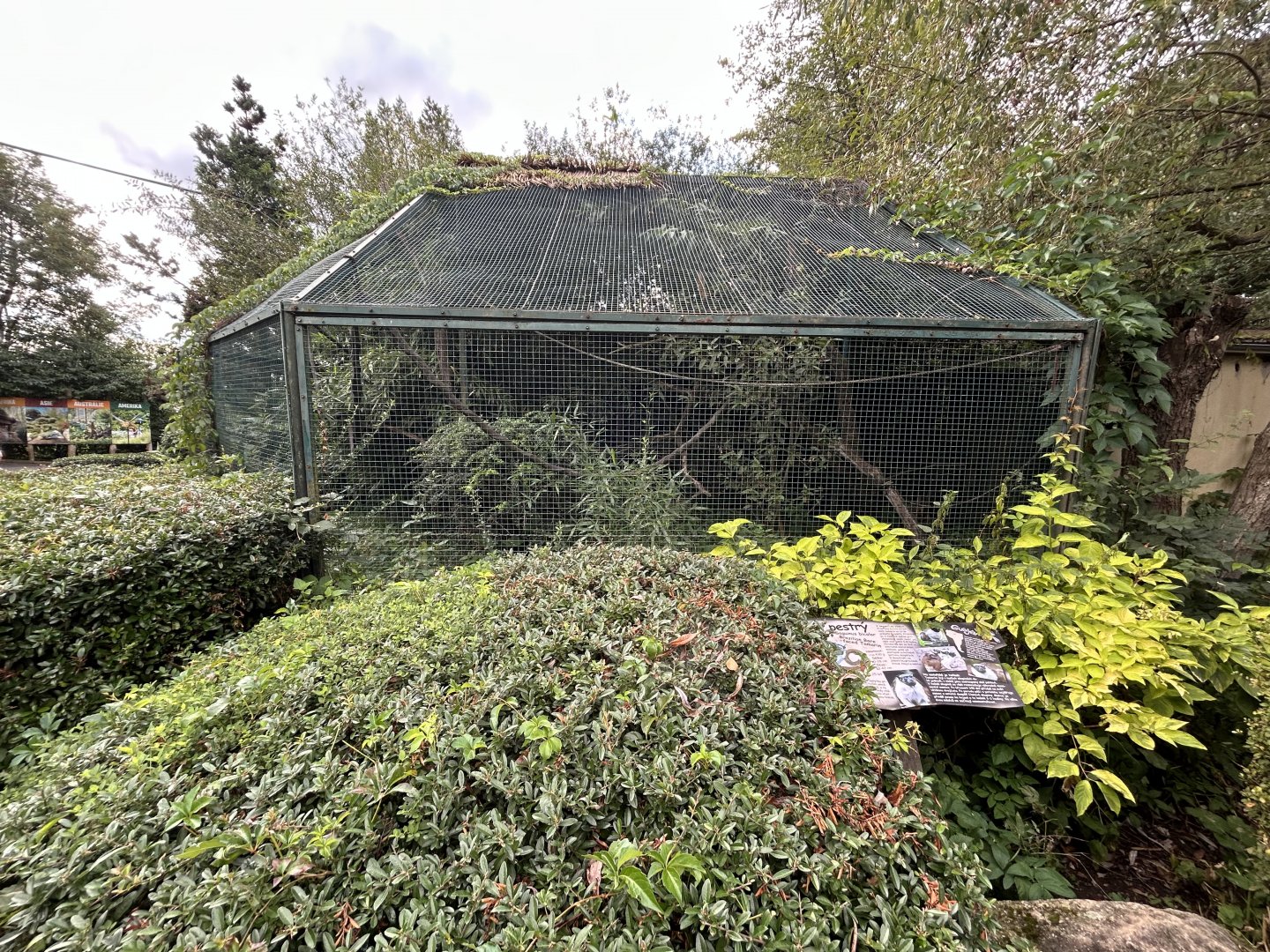 Pied Tamarin Exhibit