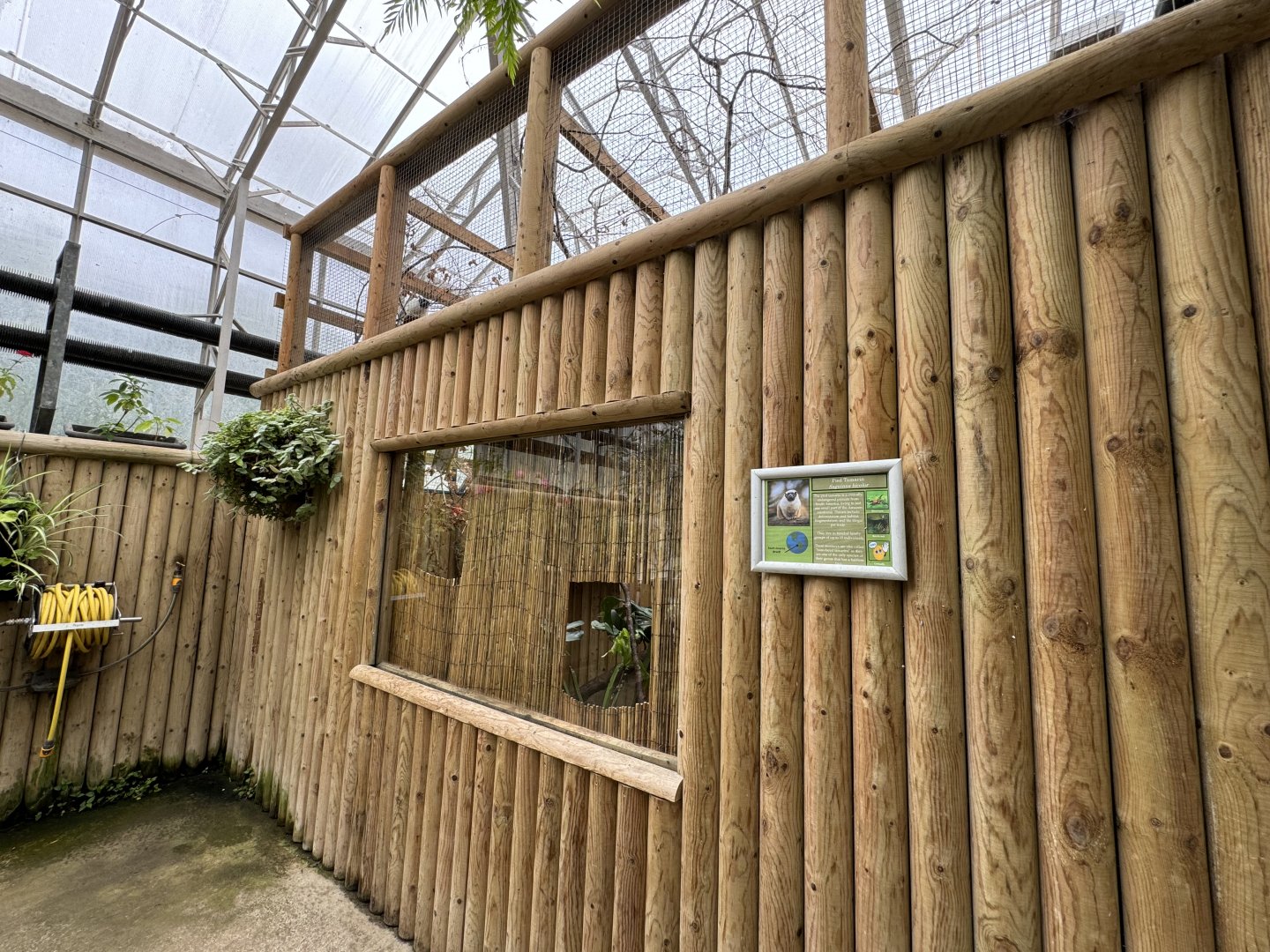 Pied Tamarin Indoor Encosure at Woodside Wildlife Park (May 2024)
