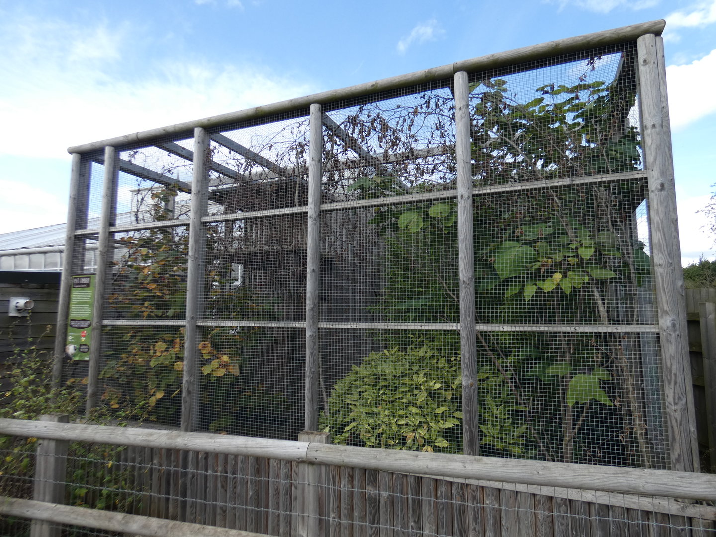 Pied tamarin outdoor enclosure