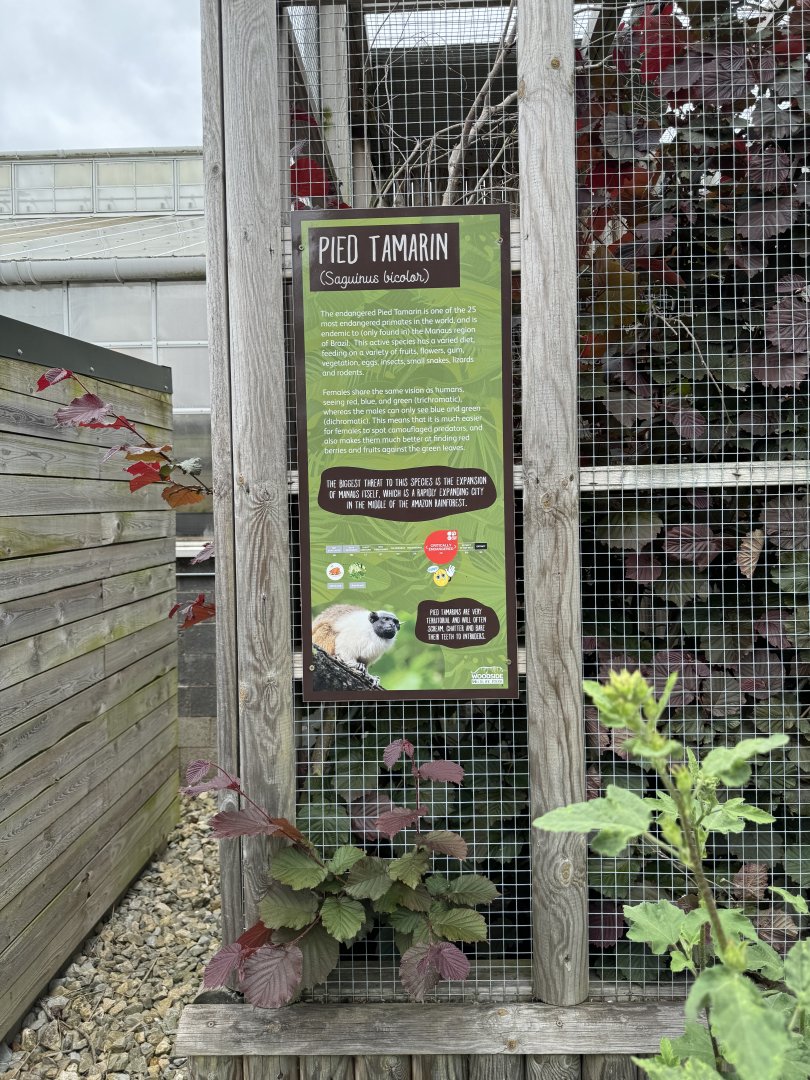 Pied Tamarin Signage at Woodside Wildlife Park (May 2024)