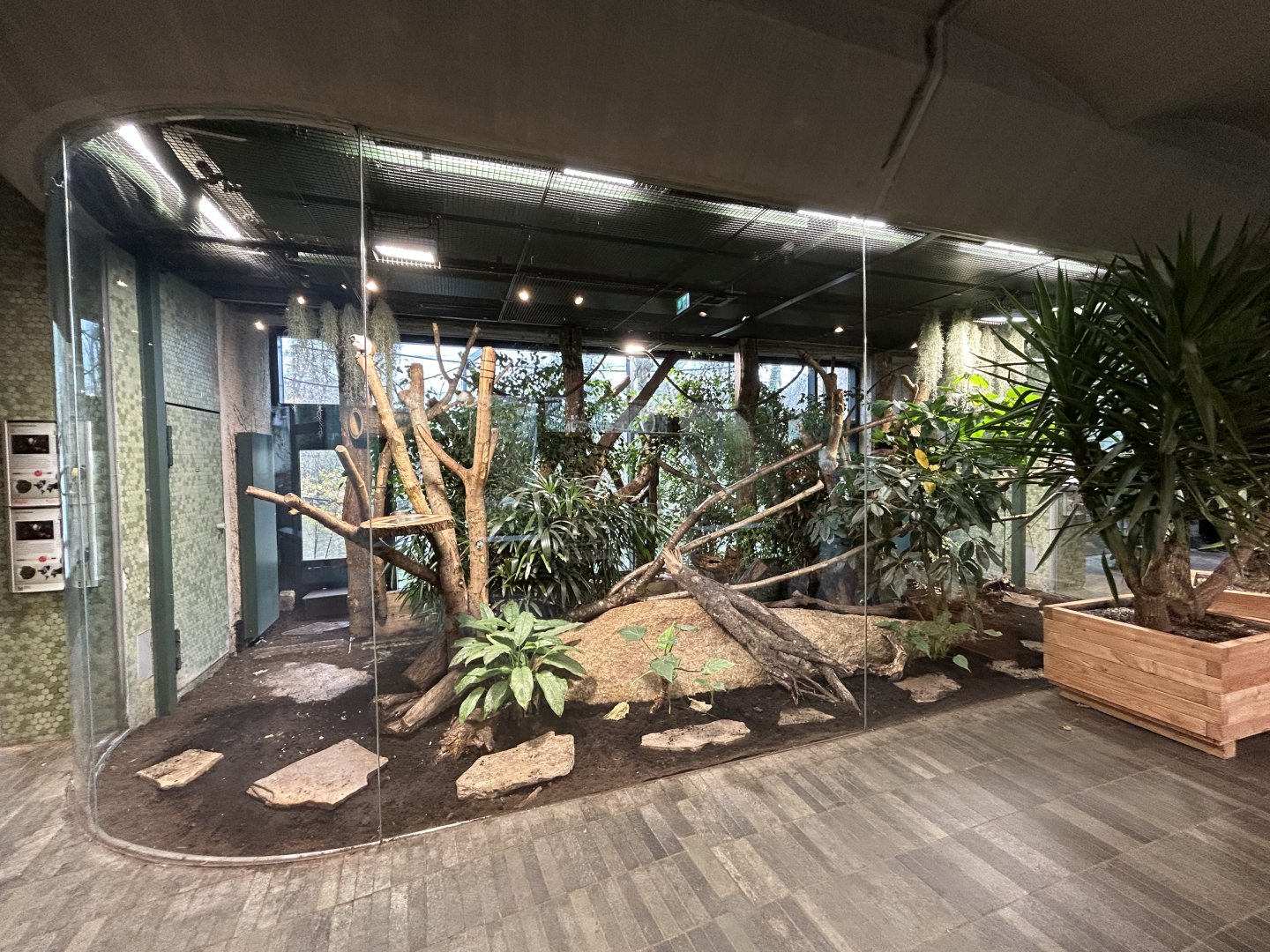 Pied Tamarin & Three-banded Armadillo Exhibit