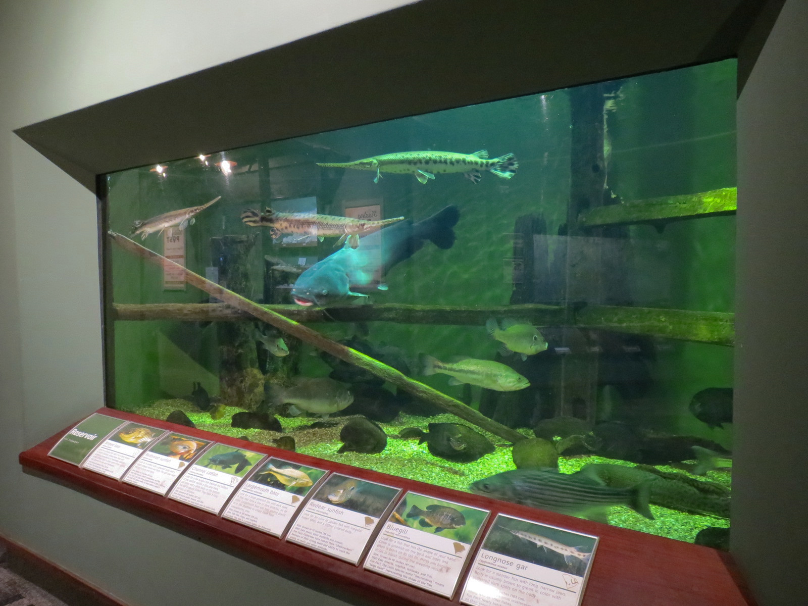 Piedmont - Reservoir Exhibit