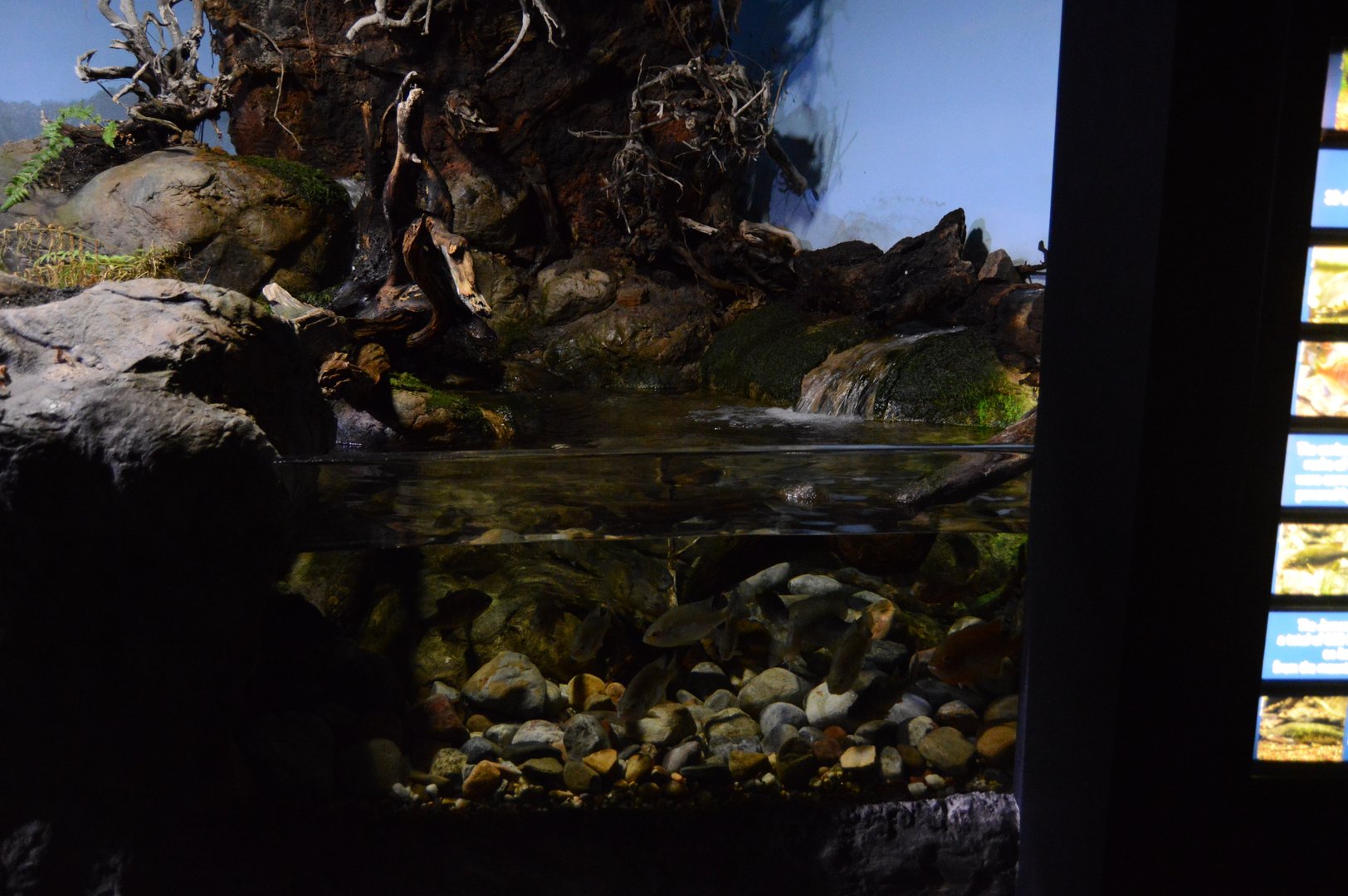 Piedmount and Mountains - James River Exhibit 2