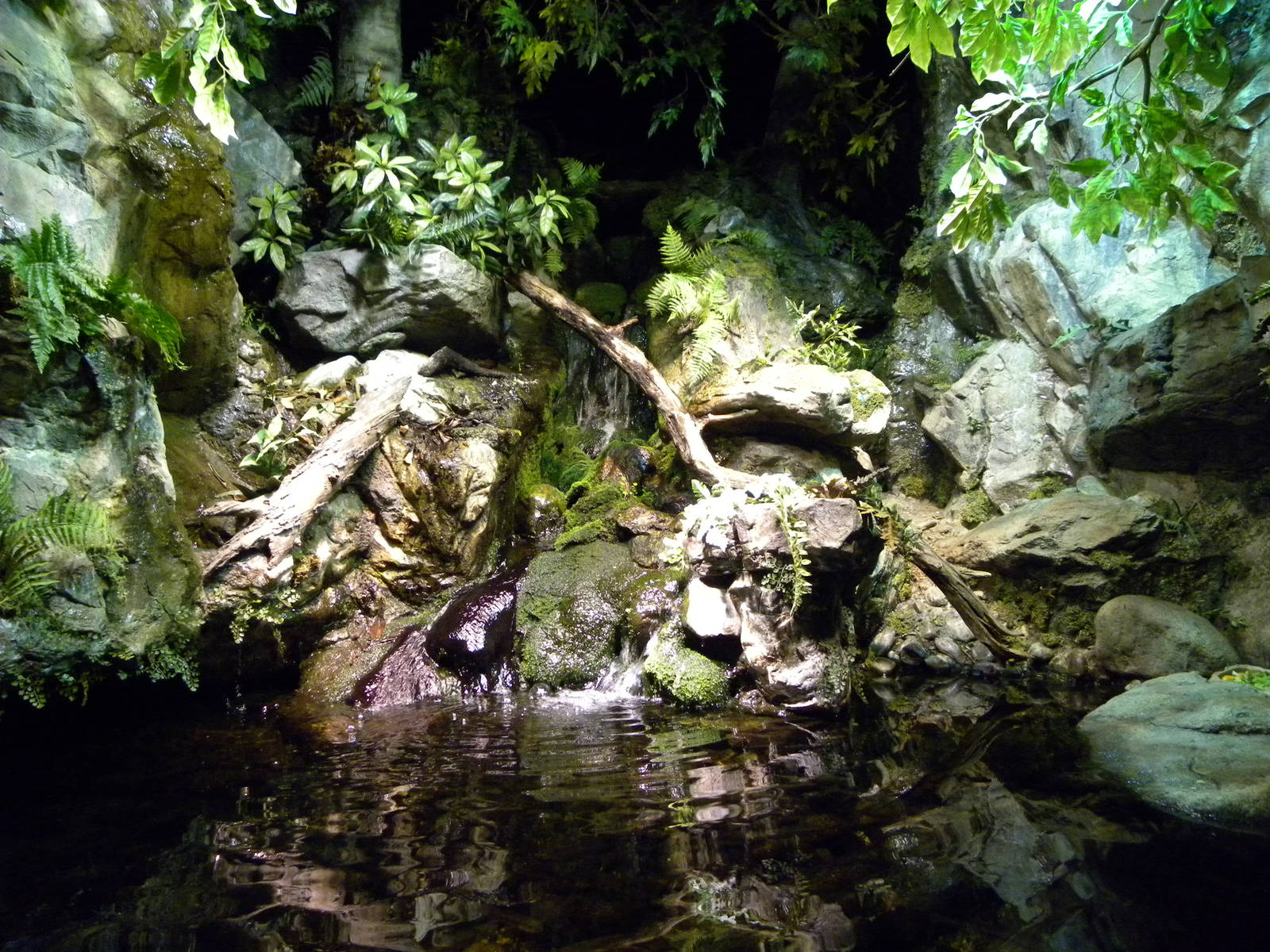 Pier 3: Maryland: Mountains to the Sea