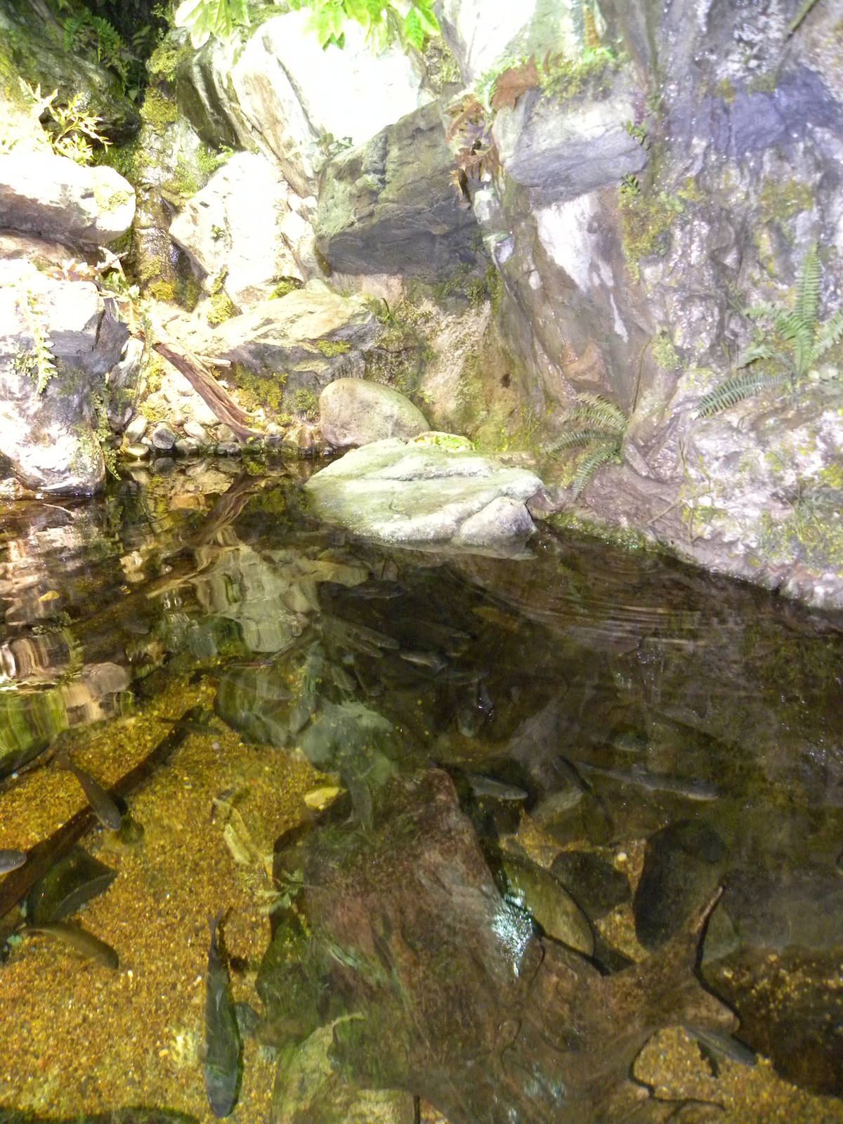 Pier 3: Maryland: Mountains to the Sea