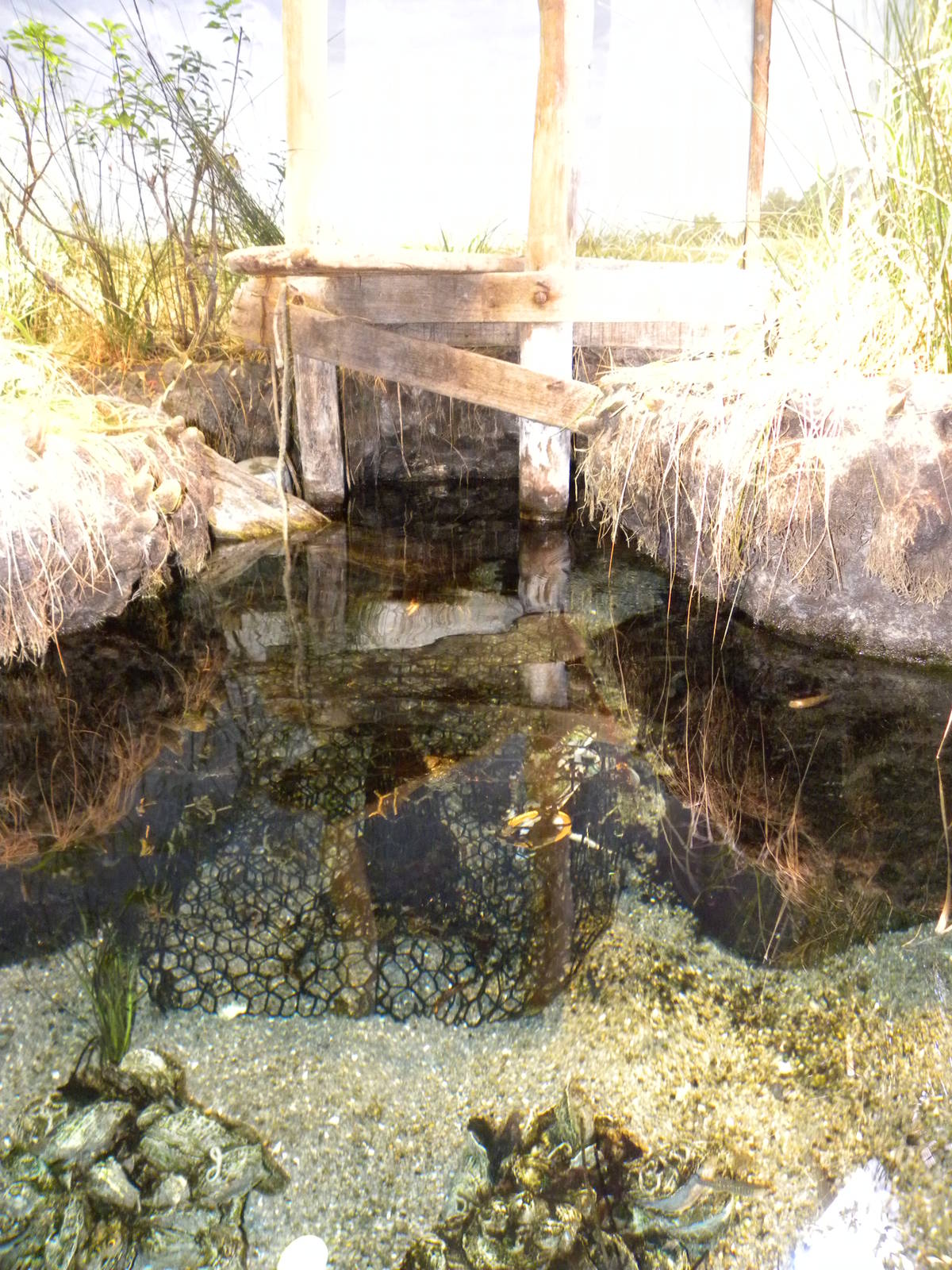 Pier 3: Maryland: Mountains to the Sea