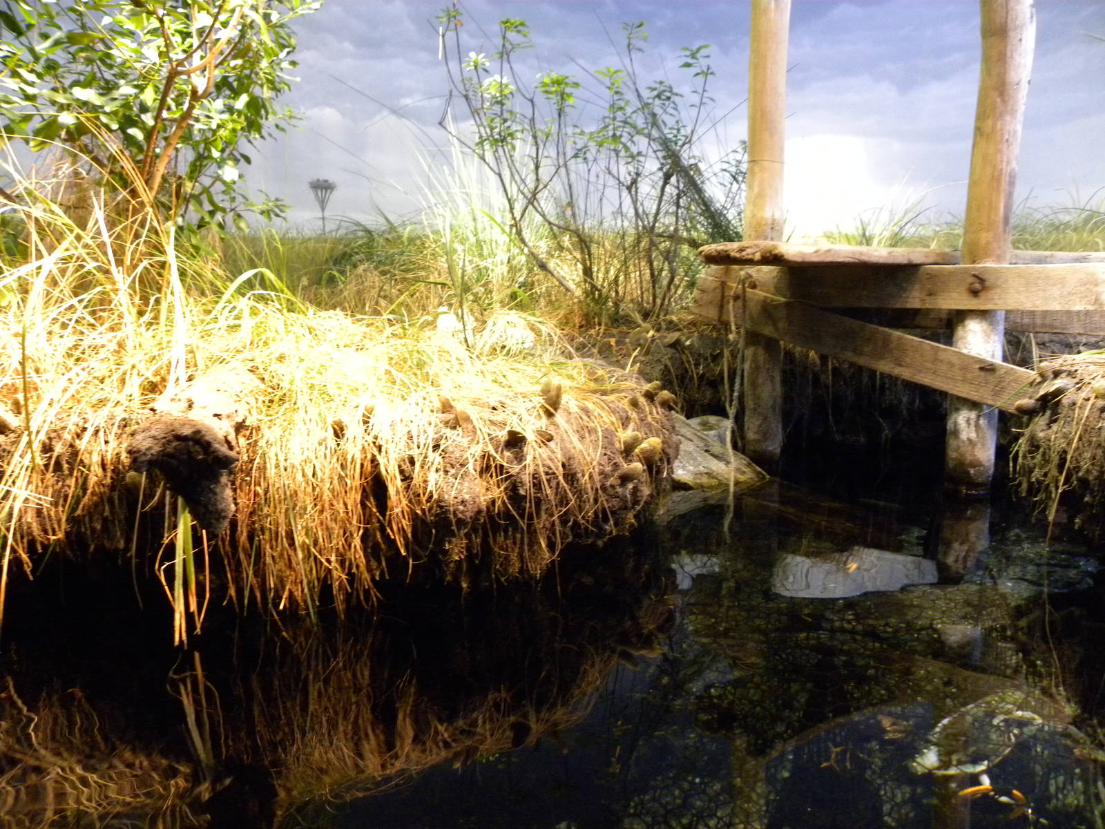 Pier 3: Maryland: Mountains to the Sea