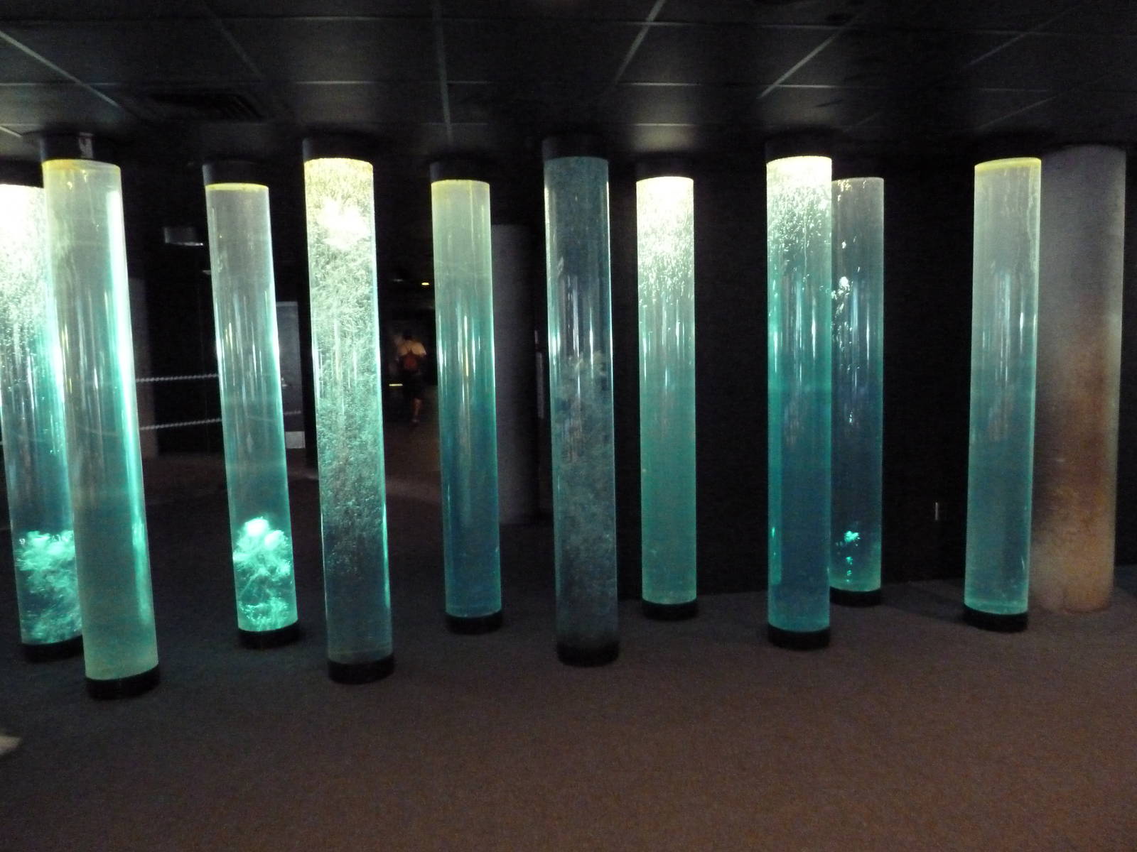 Pier 3 Pavilion - Bubble Tubes