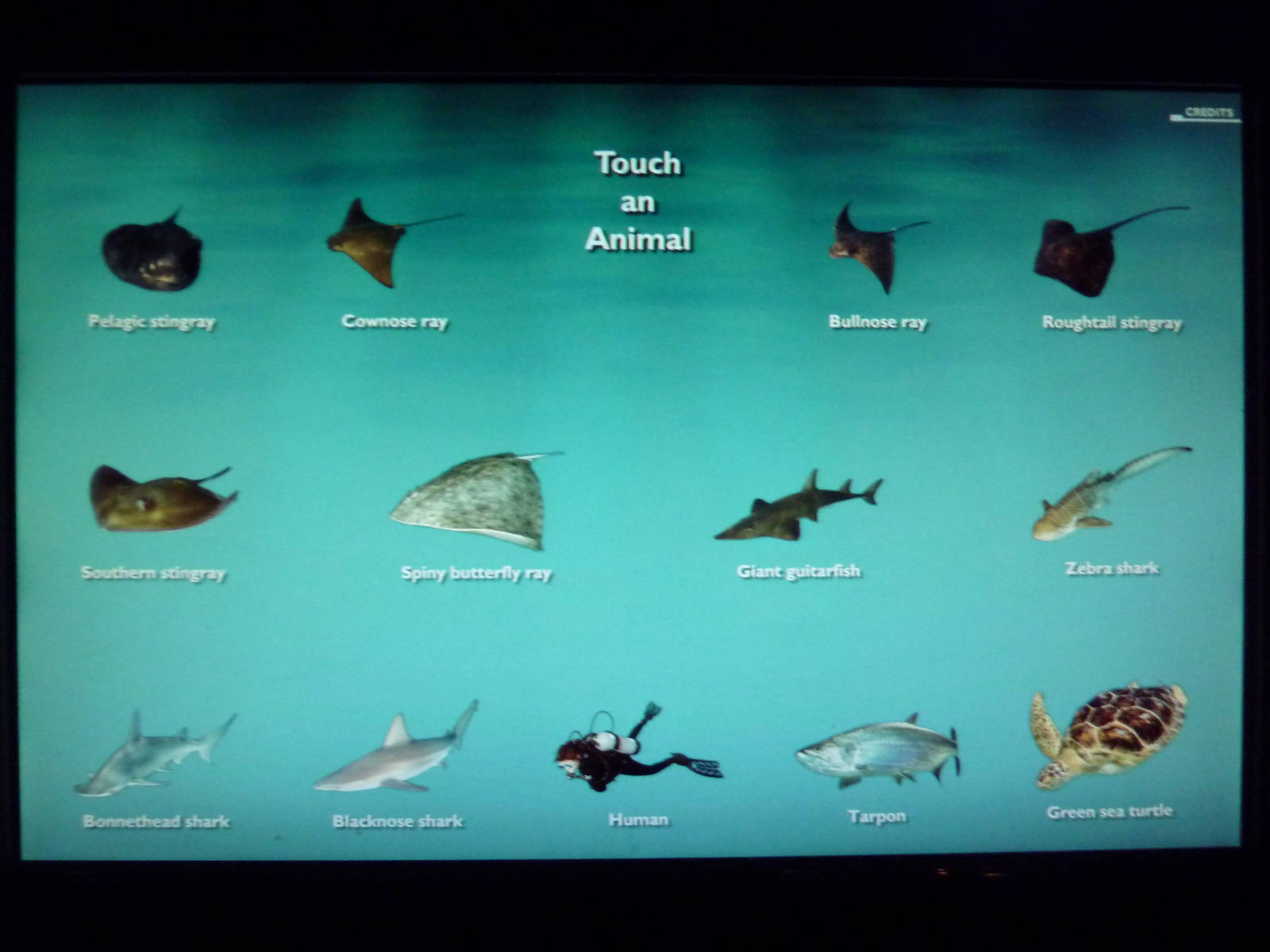 Pier 3 Pavilion - Level 1: Wings In The Water Signage