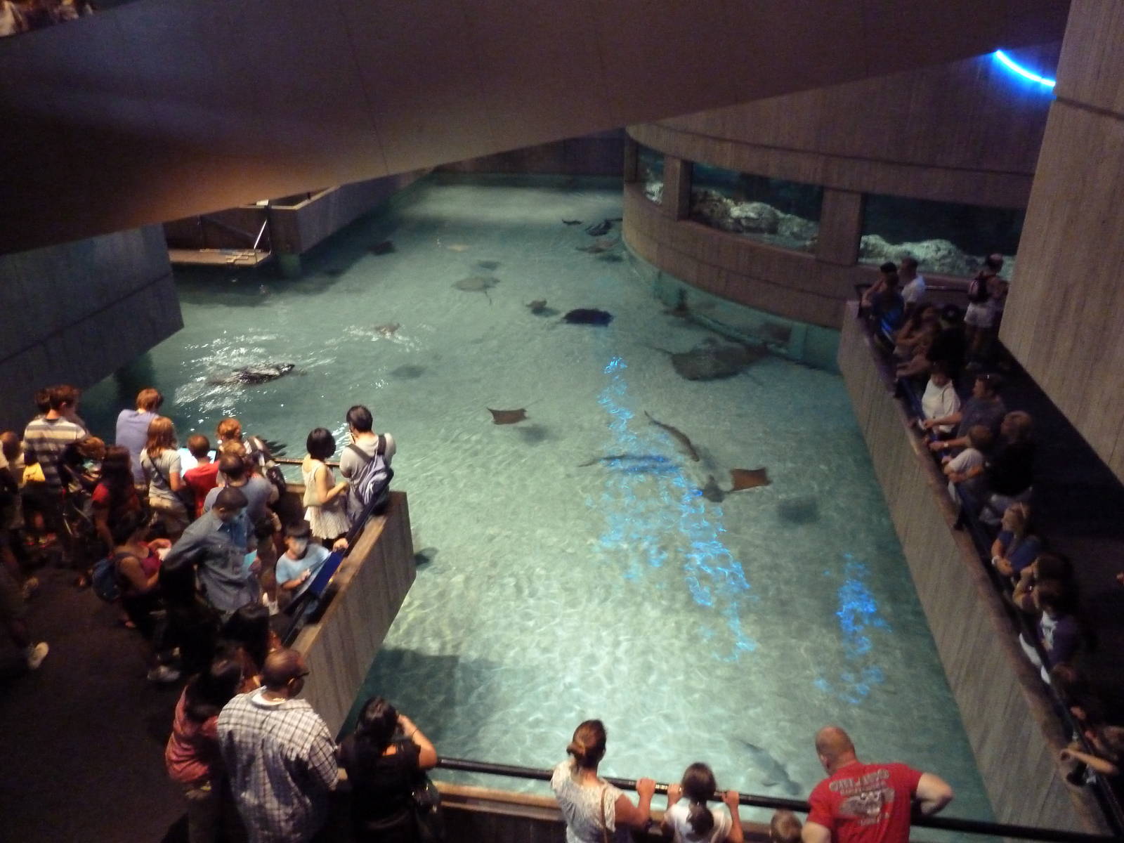 Pier 3 Pavilion - Level 1: Wings In The Water