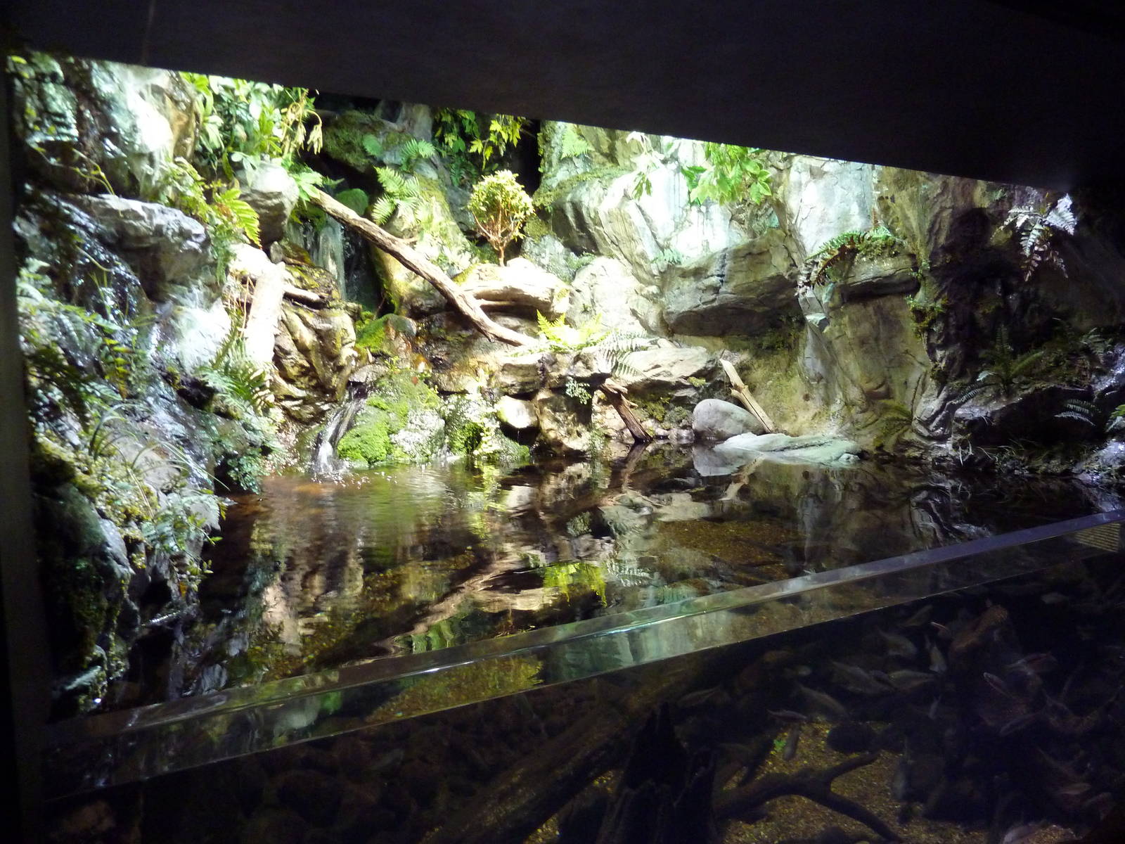 Pier 3 Pavilion - Level 2: Maryland: Mountains To The Sea