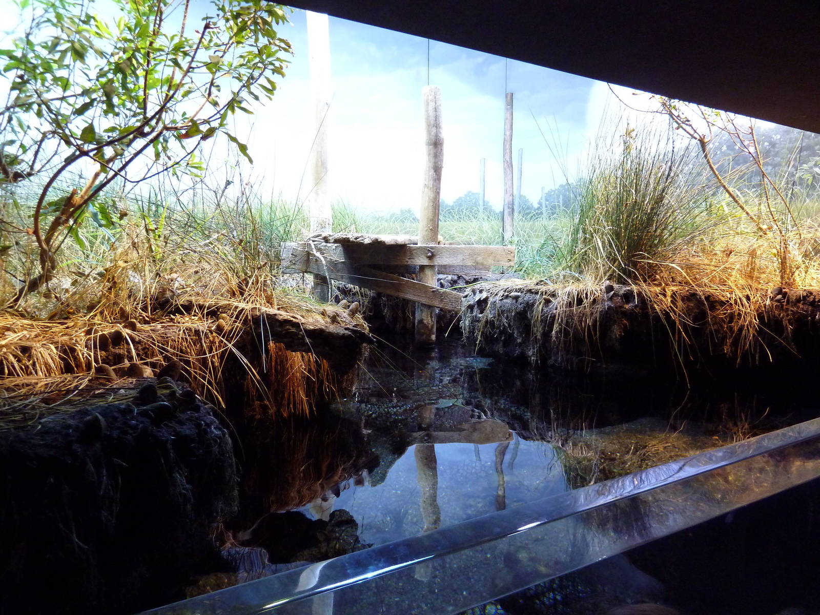 Pier 3 Pavilion - Level 2: Maryland: Mountains To The Sea