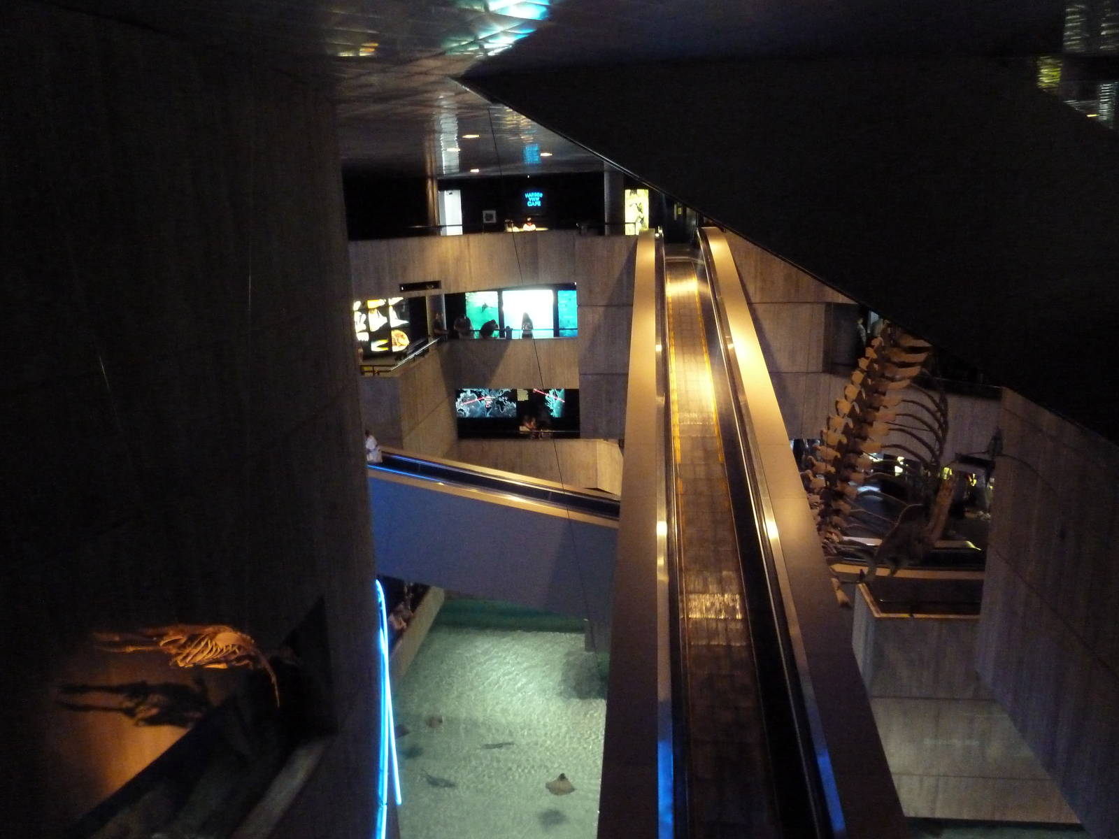 Pier 3 Pavilion - Overlook Of Escalators + Stingray Tank