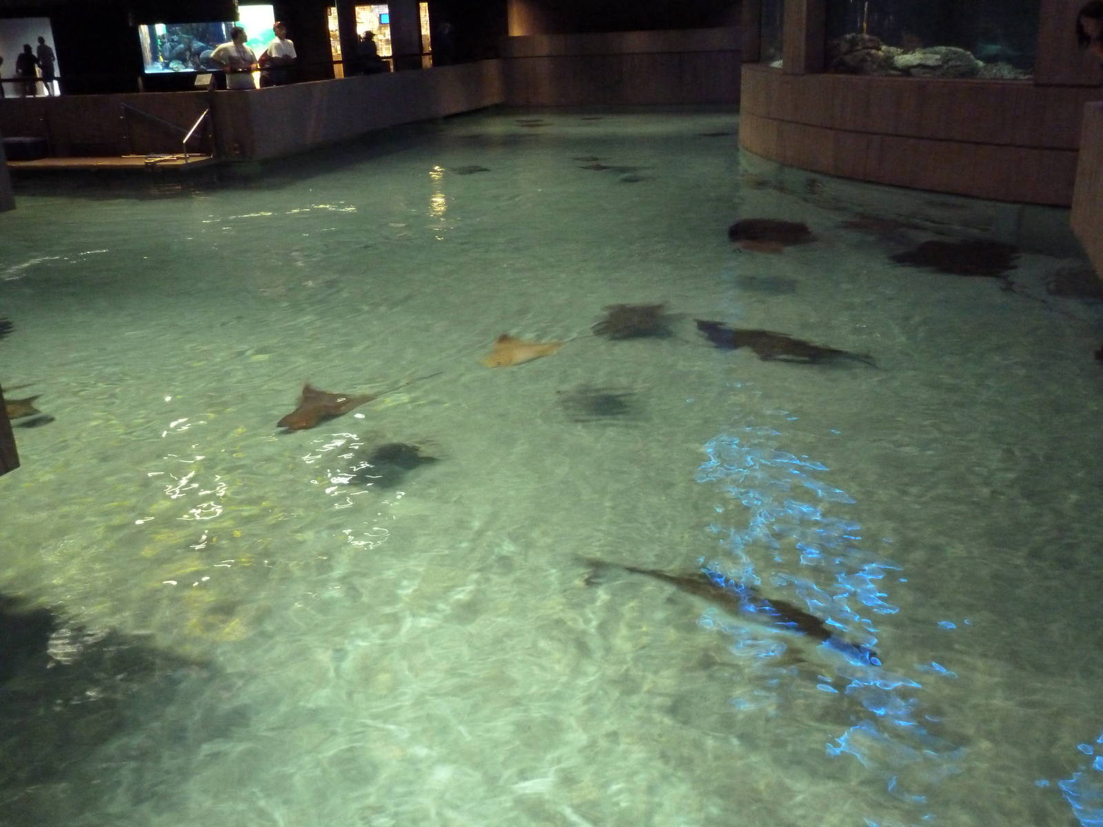 Pier 3 Pavilion - Wings In The Water