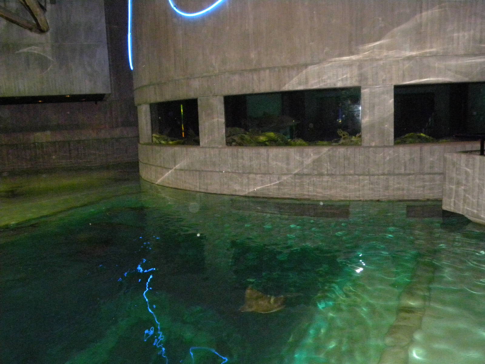 Pier 3: Wings in the Water