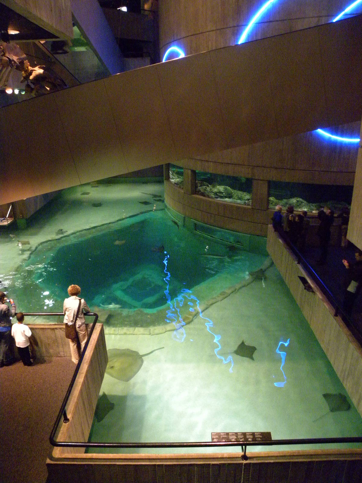 Pier 3: Wings in the Water