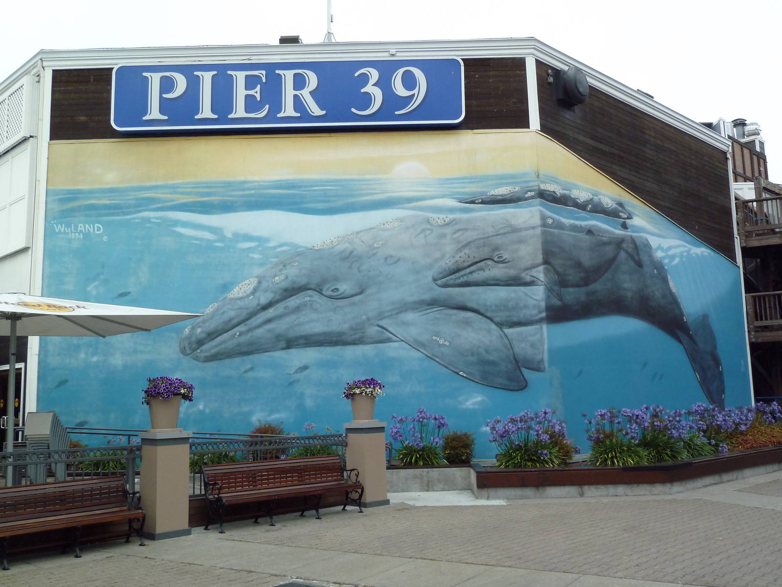 Pier 39 Mural