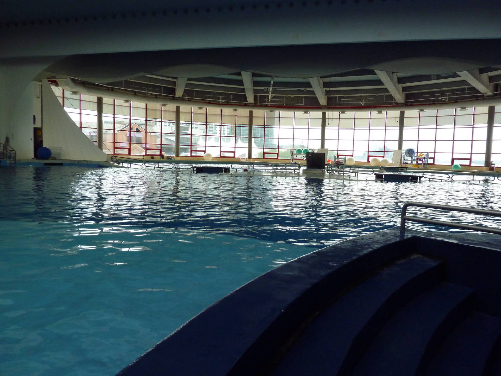 Pier 4 Pavilion: Dolphin Pool