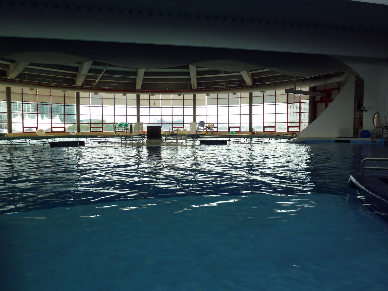 Pier 4 Pavilion: Dolphin Pool