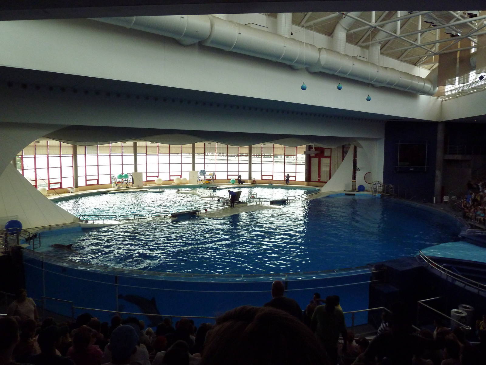 Pier 4 Pavilion: Dolphin Pool