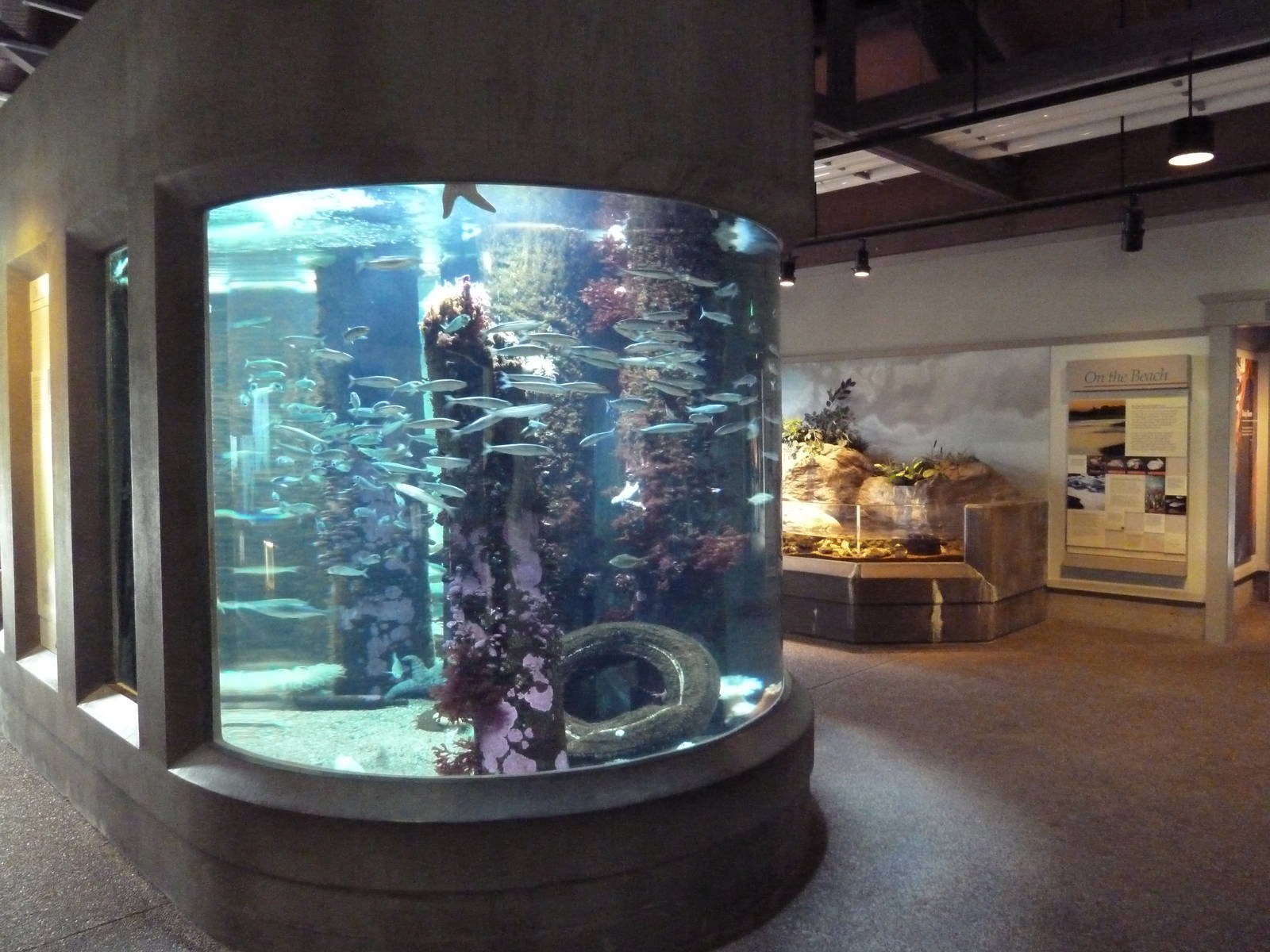 Pier Exhibit