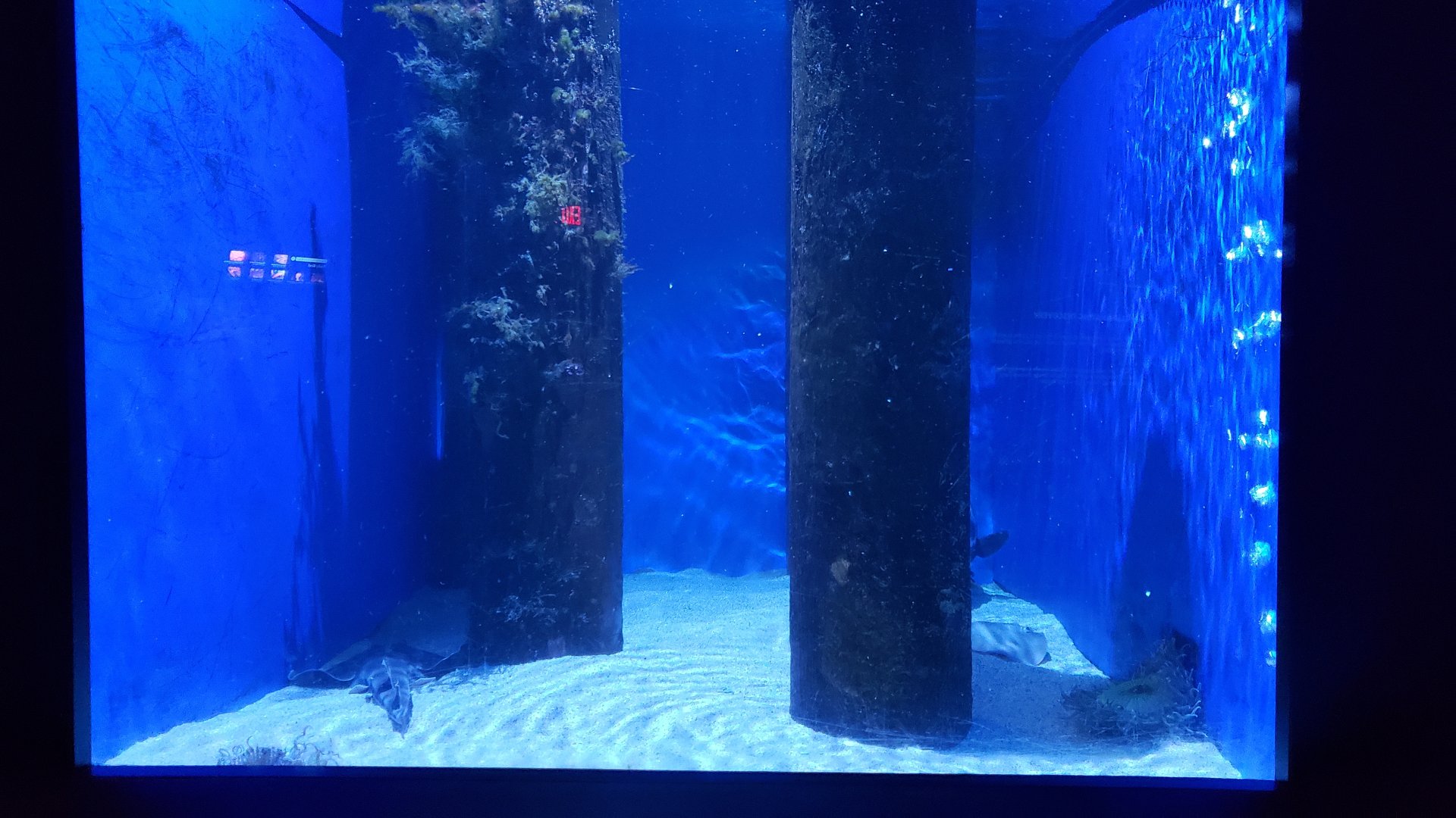 pier tank