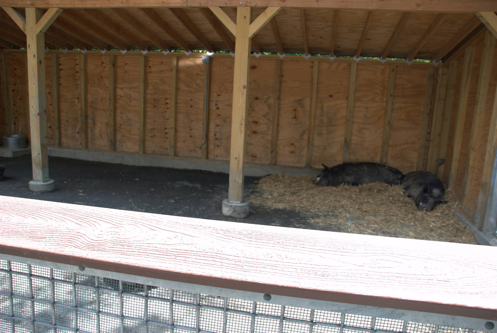 Pig enclosure