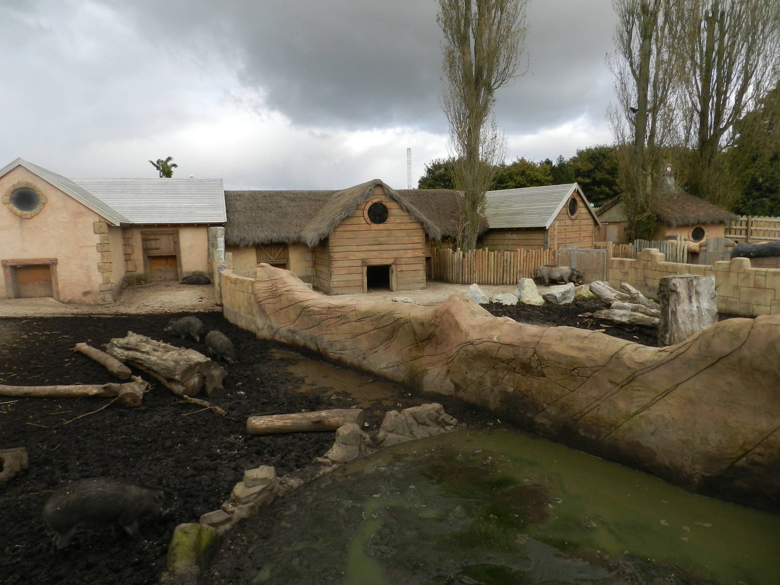 Pig Exhibits at Flamingo Land - 14/10/2012