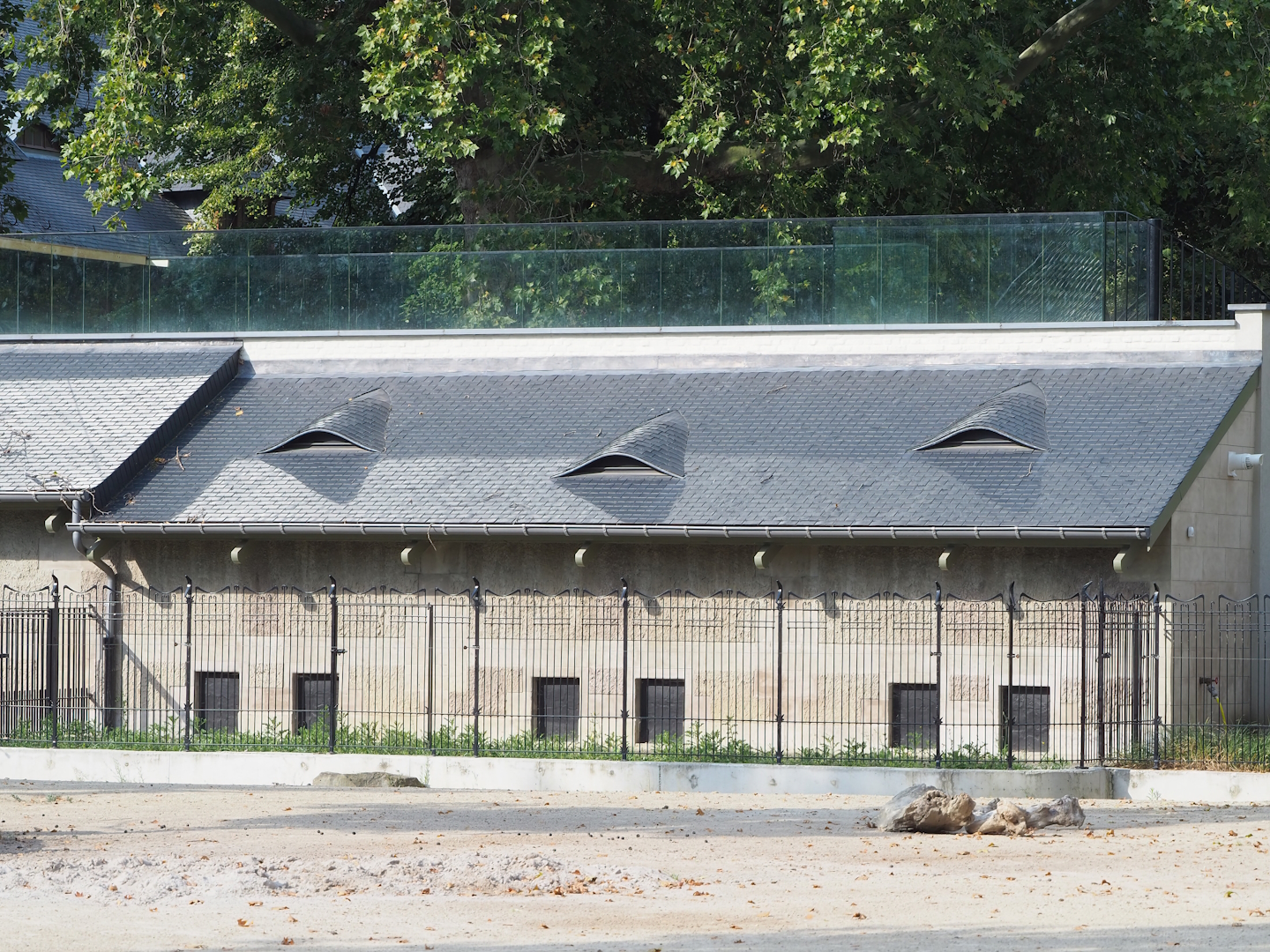 Pig house, 2022-08-16