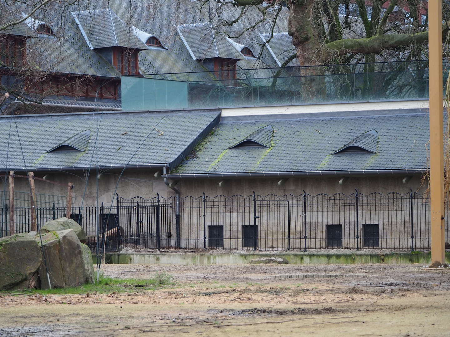 Pig House, 2024-02-17