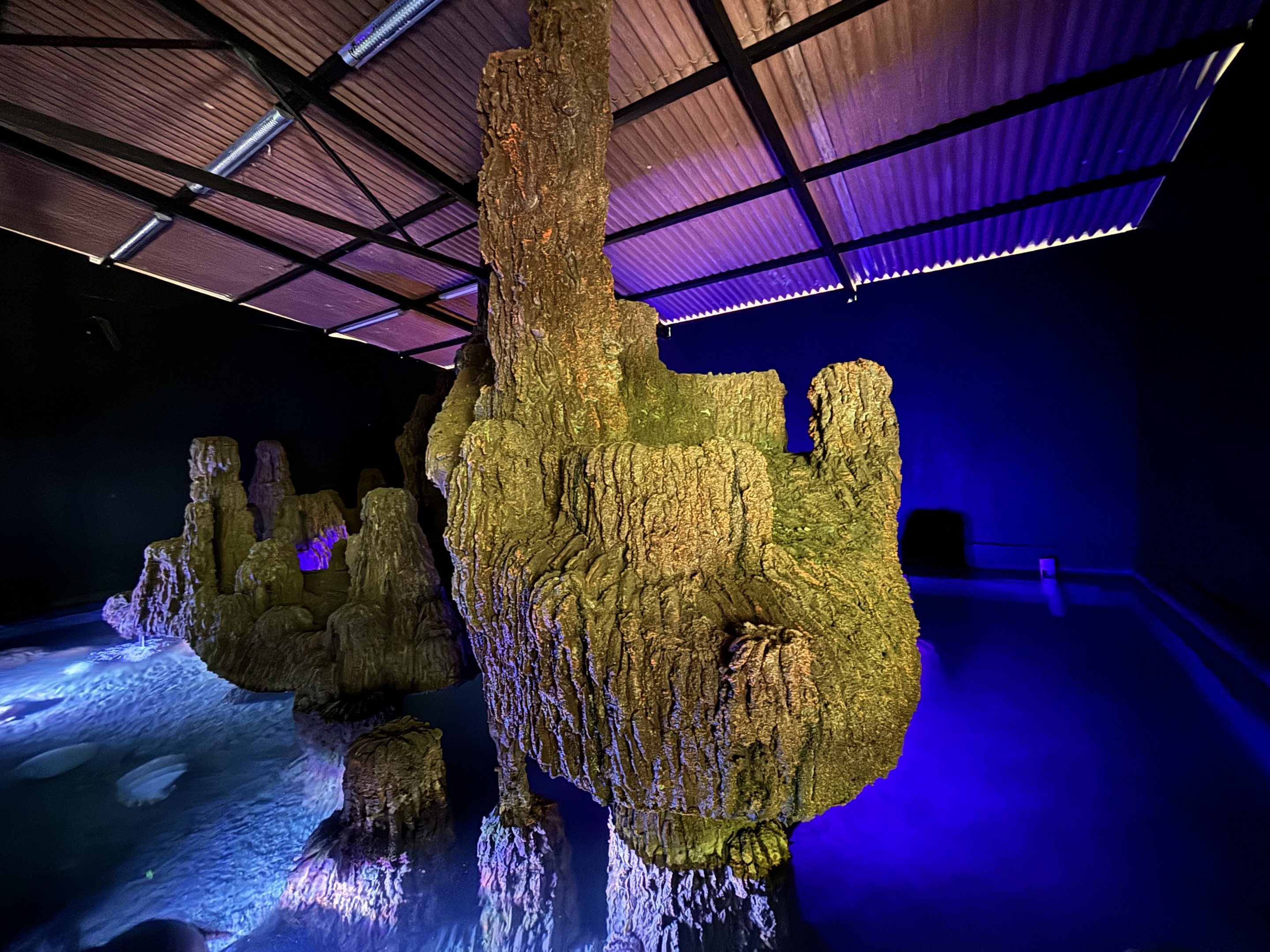 Pig-nosed Turtle Cave Exhibit