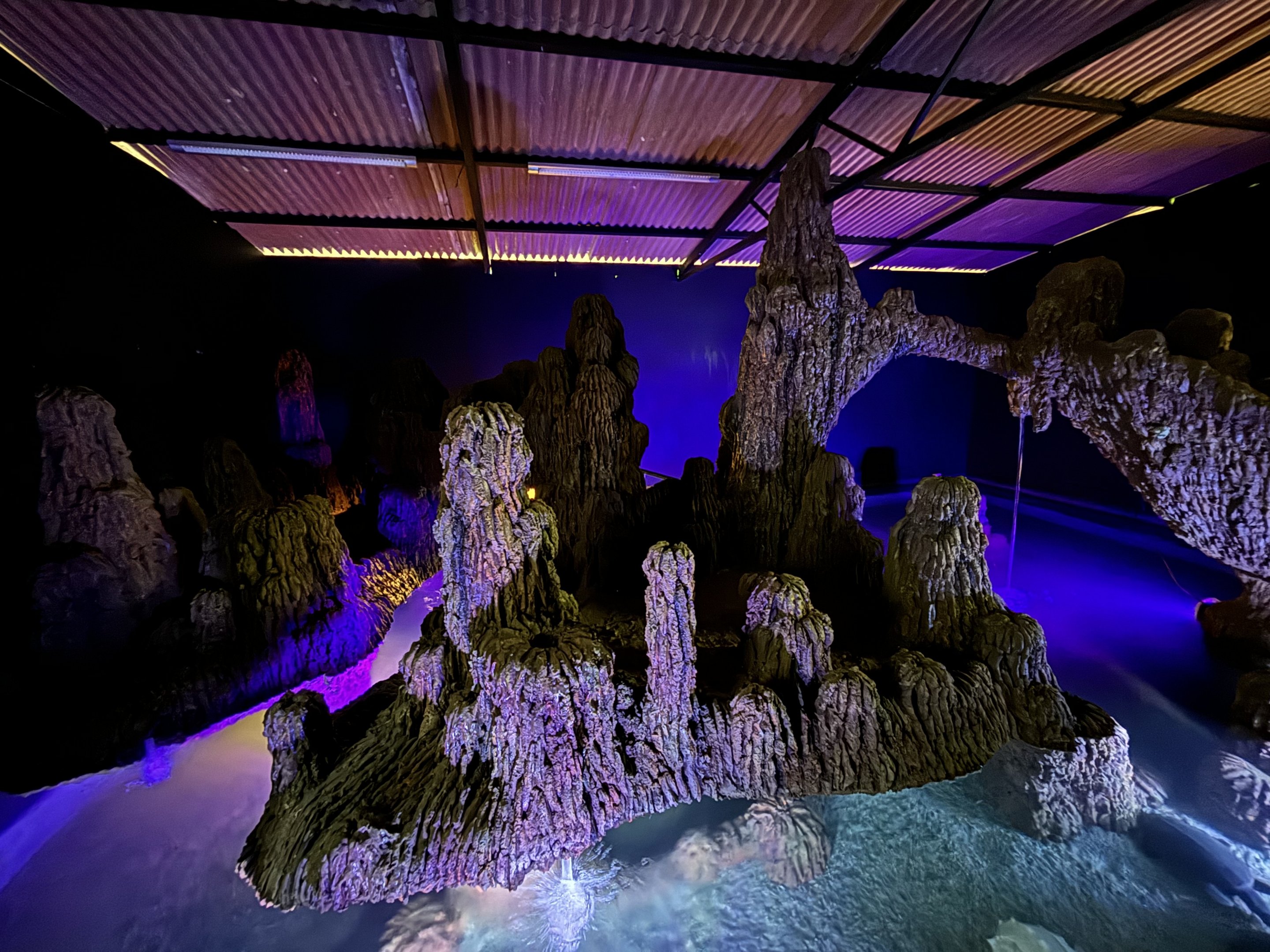 Pig-nosed Turtle Cave Exhibit