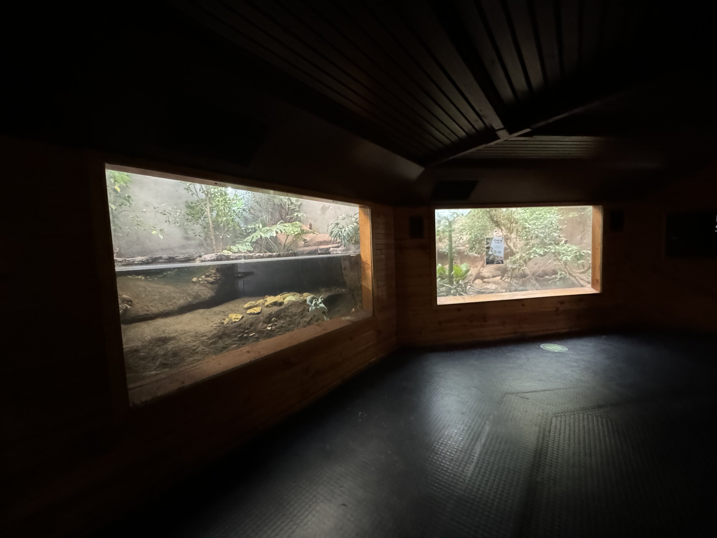 Pig-nosed Turtle enclosure