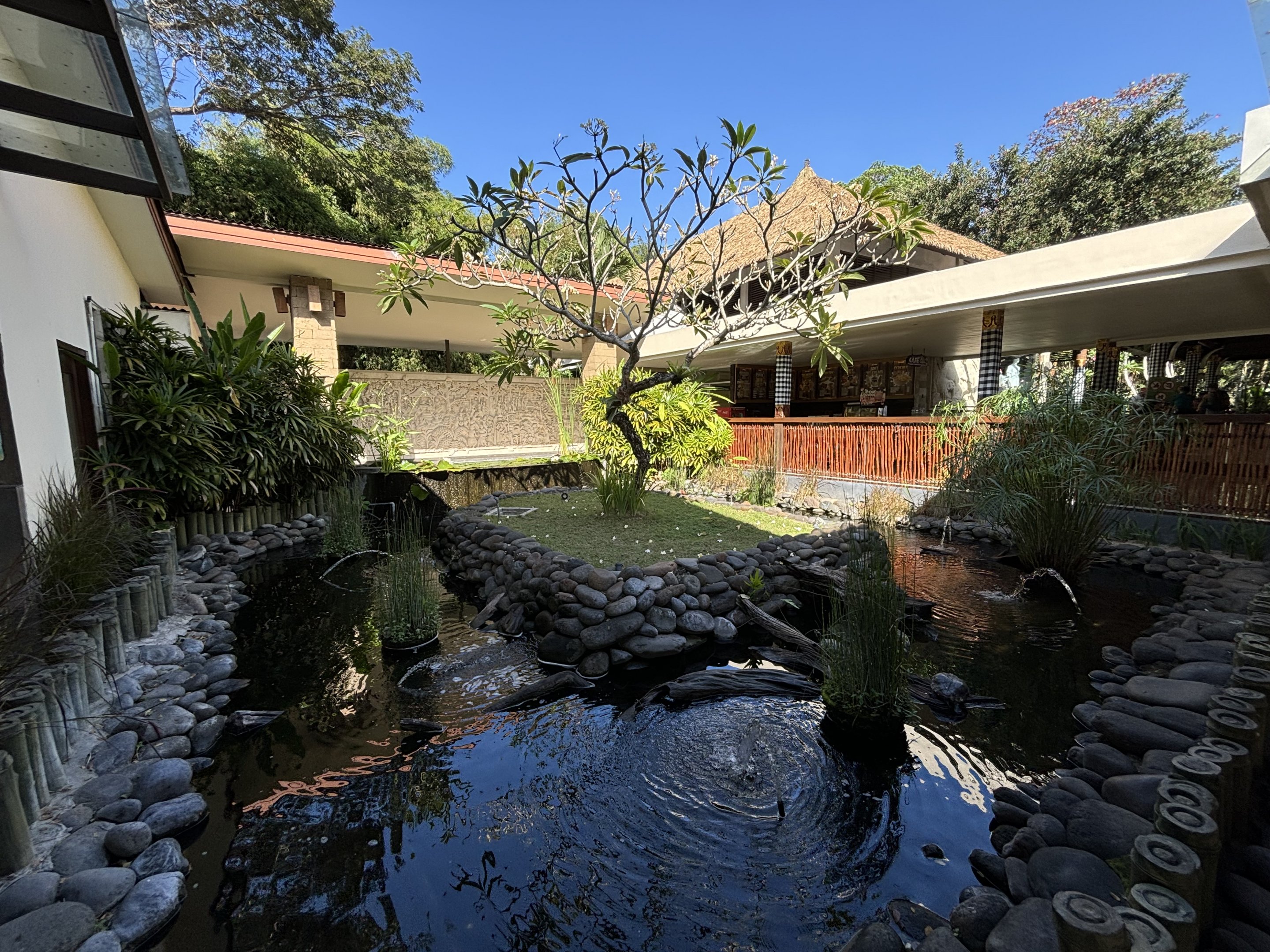 Pig-nosed Turtle Exhibit