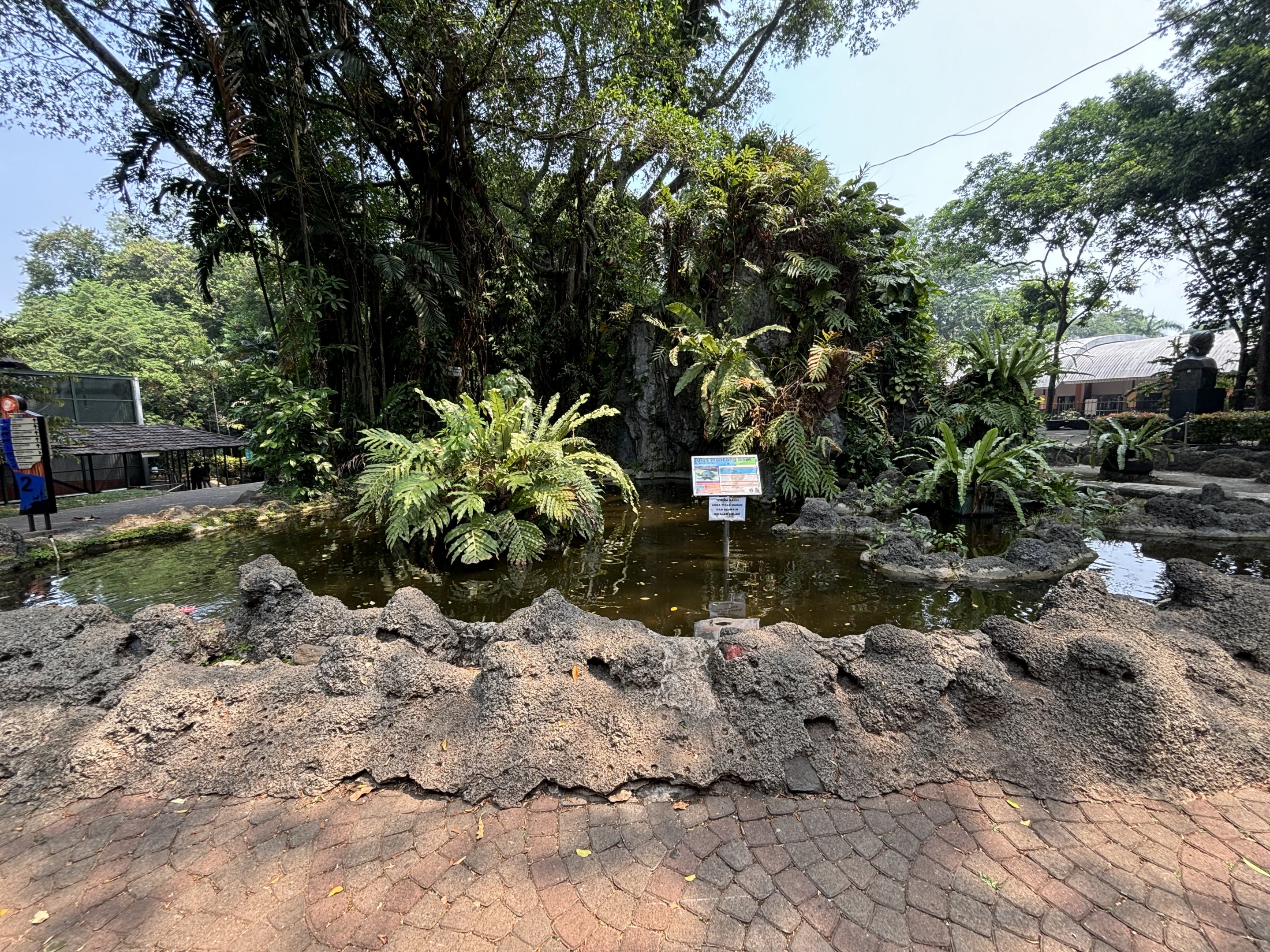 Pig-nosed Turtle Exhibit