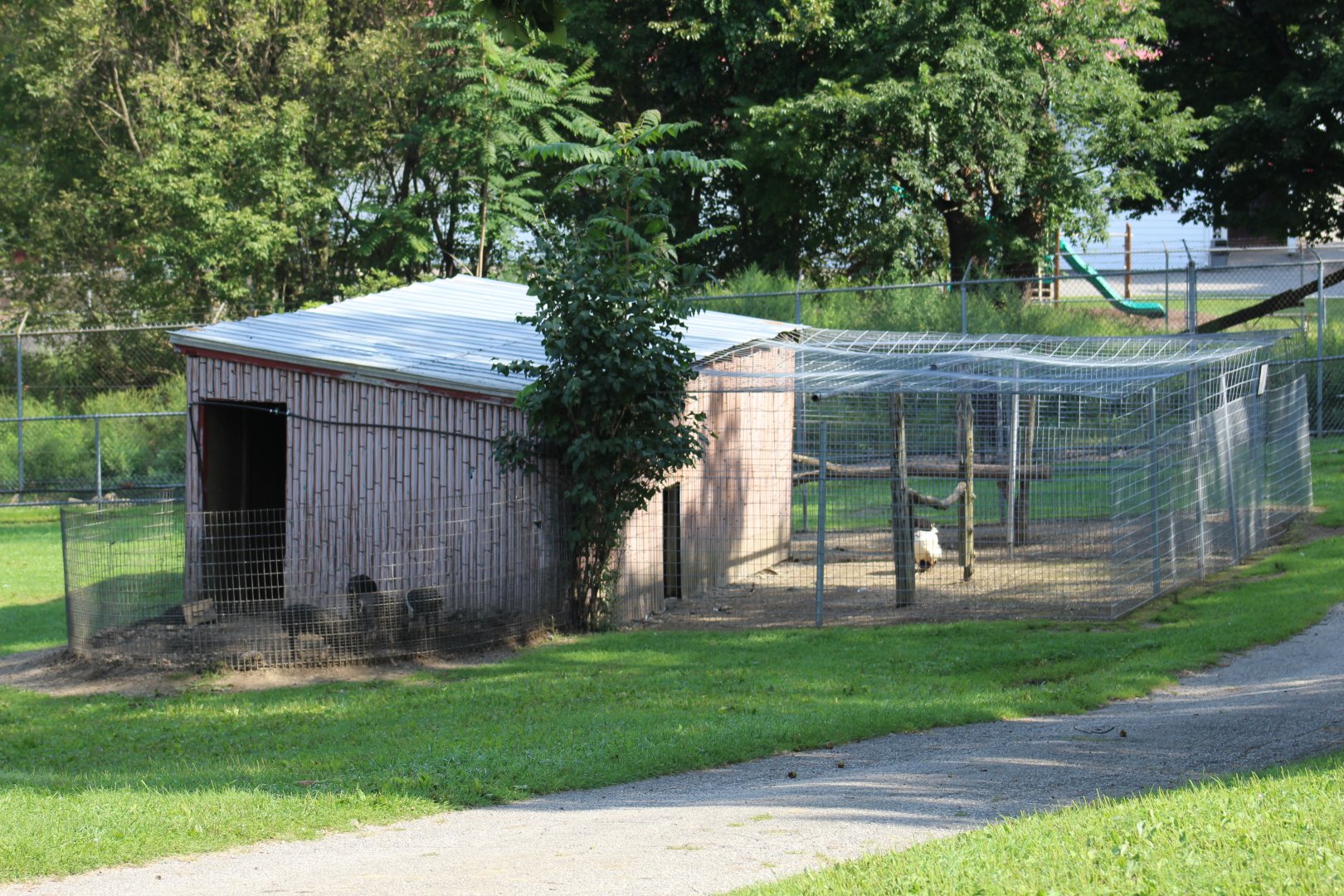 Pig & Peafowl Enclosures
