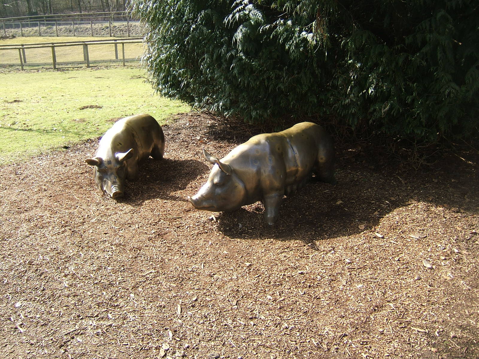 Pig statues at Beale Park, 13th March 2010