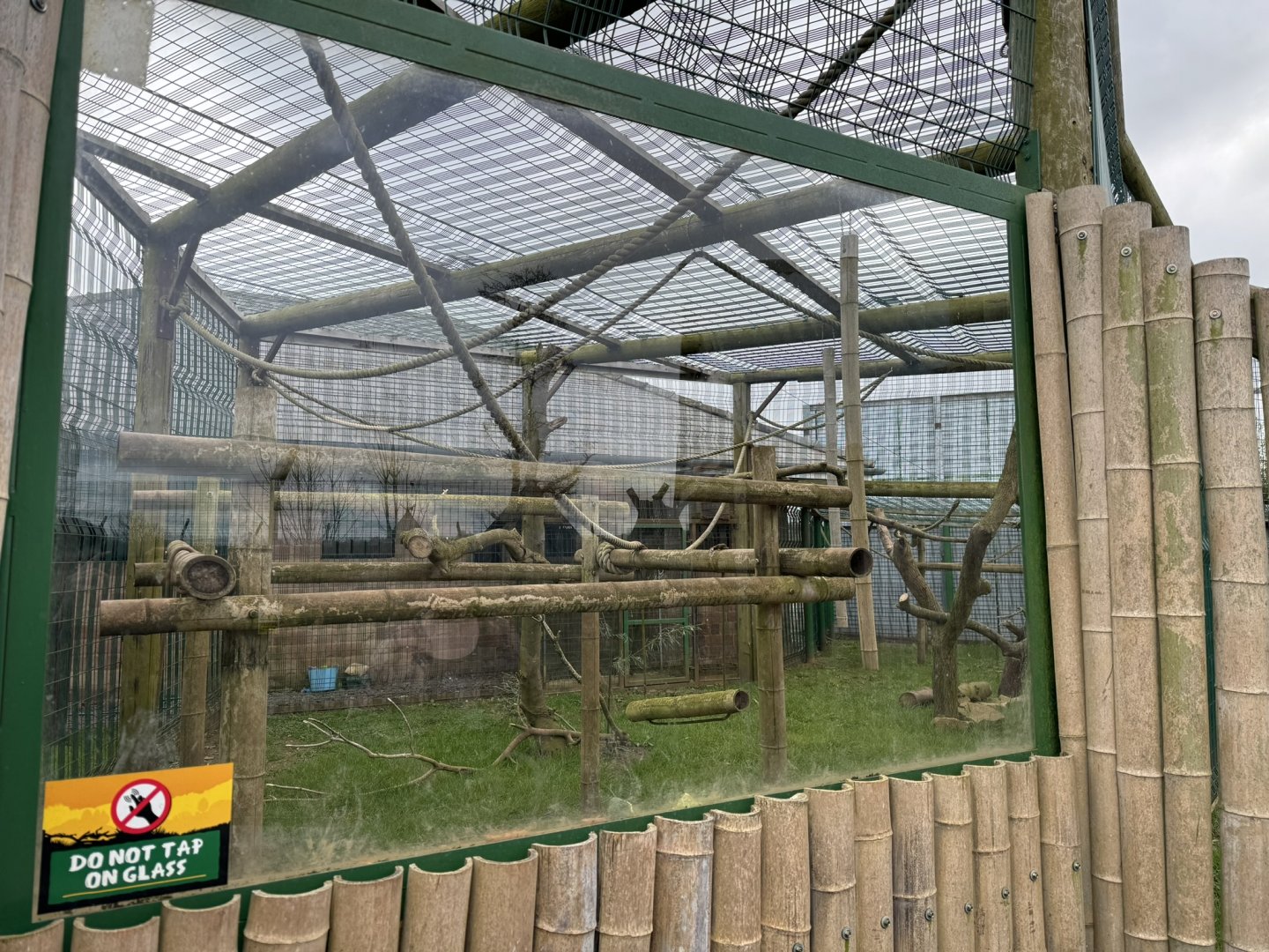 Pig-tailed Macaque Enclosure at Wolds Wildlife Park (March 2024)